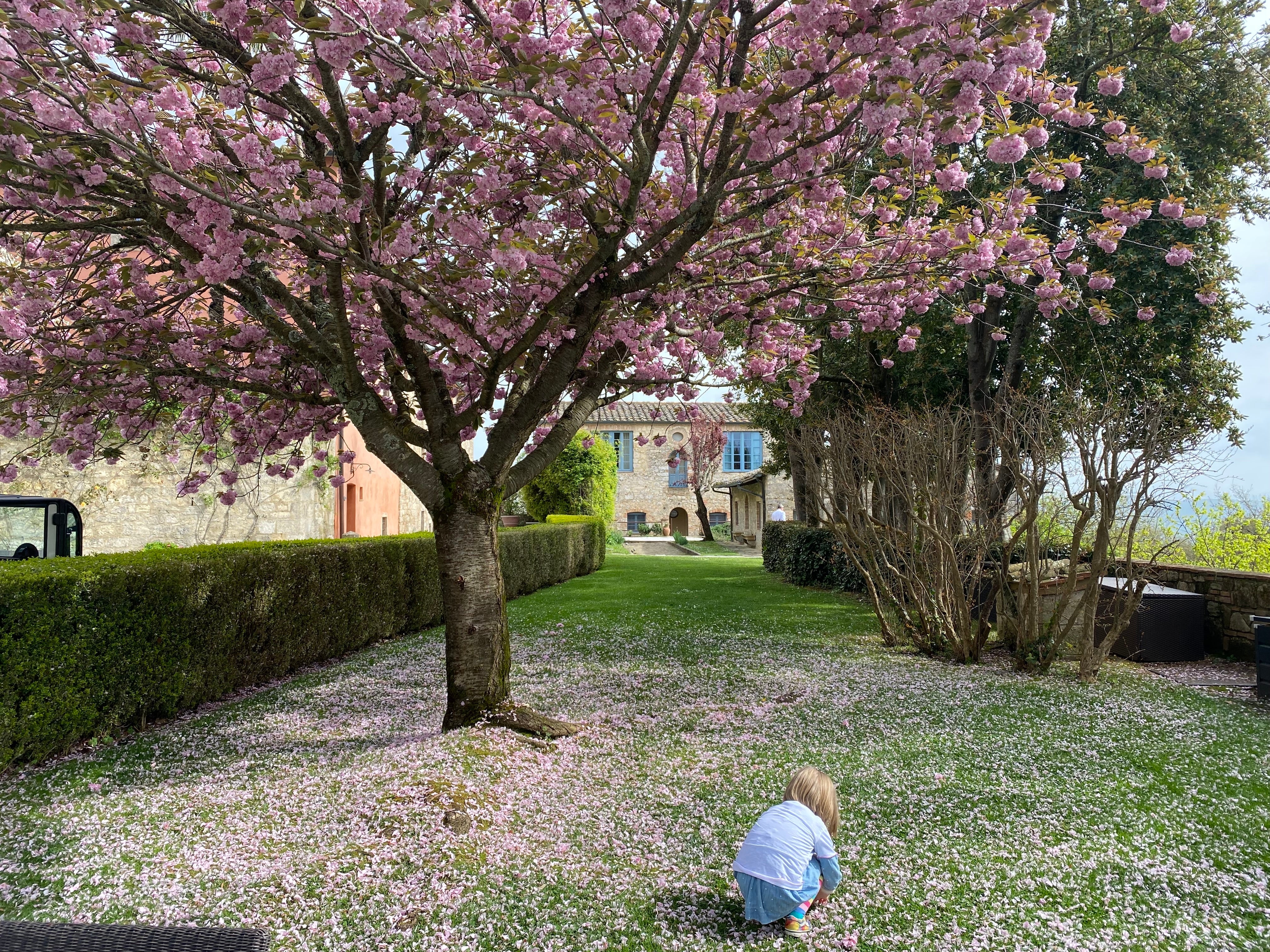 Borgo Pignano has large grounds for children to explore