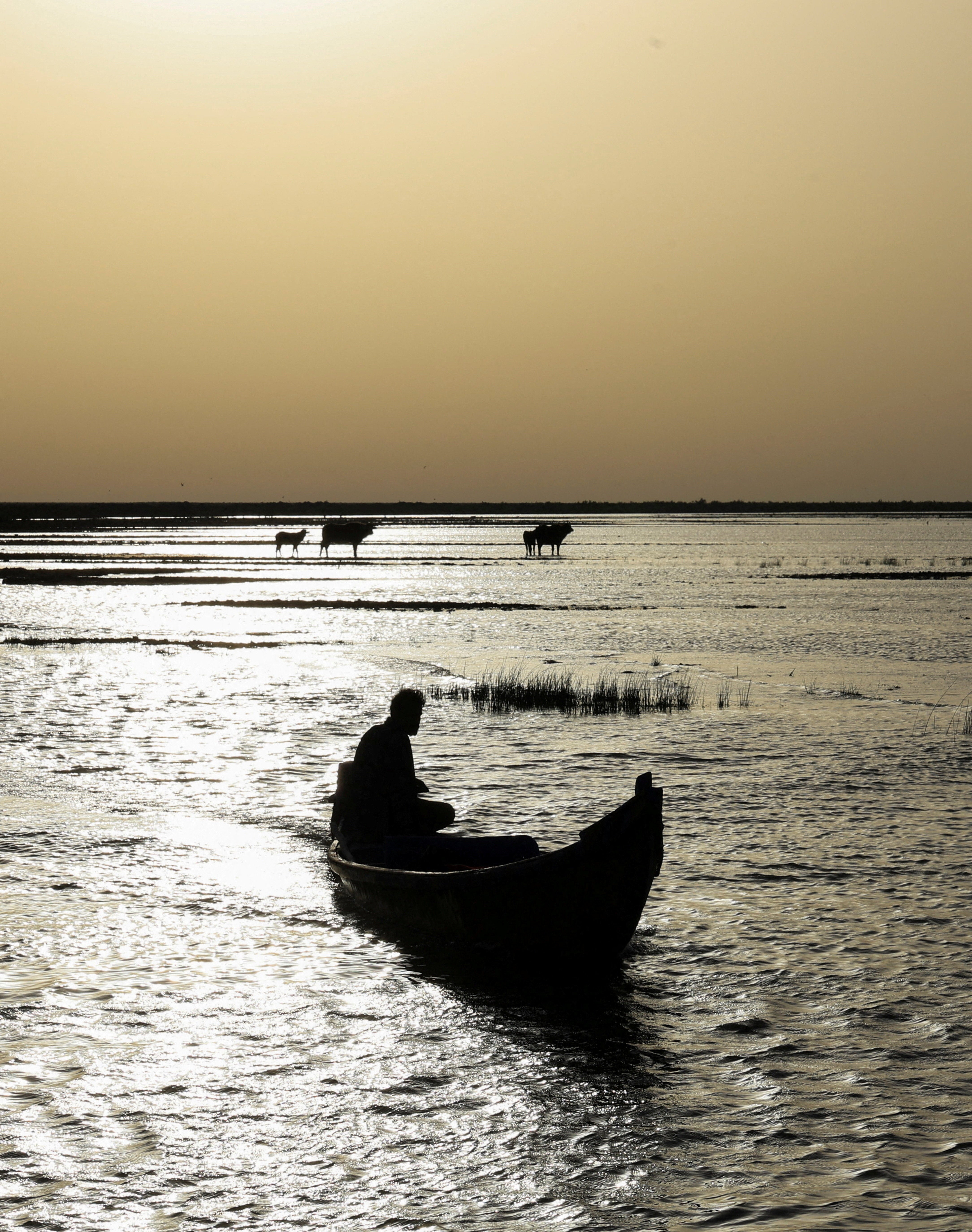 A man steers a boat at sunrise at the Chibayish marshes in Dhi Qar province, Iraq, May 7, 2026