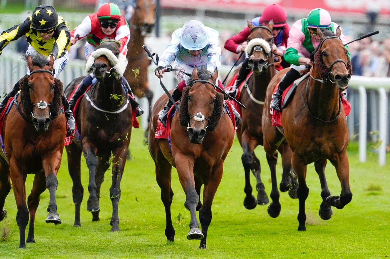 Chester Races Tips Friday Chester Tips | Best Bets for the May Festival | The Independent