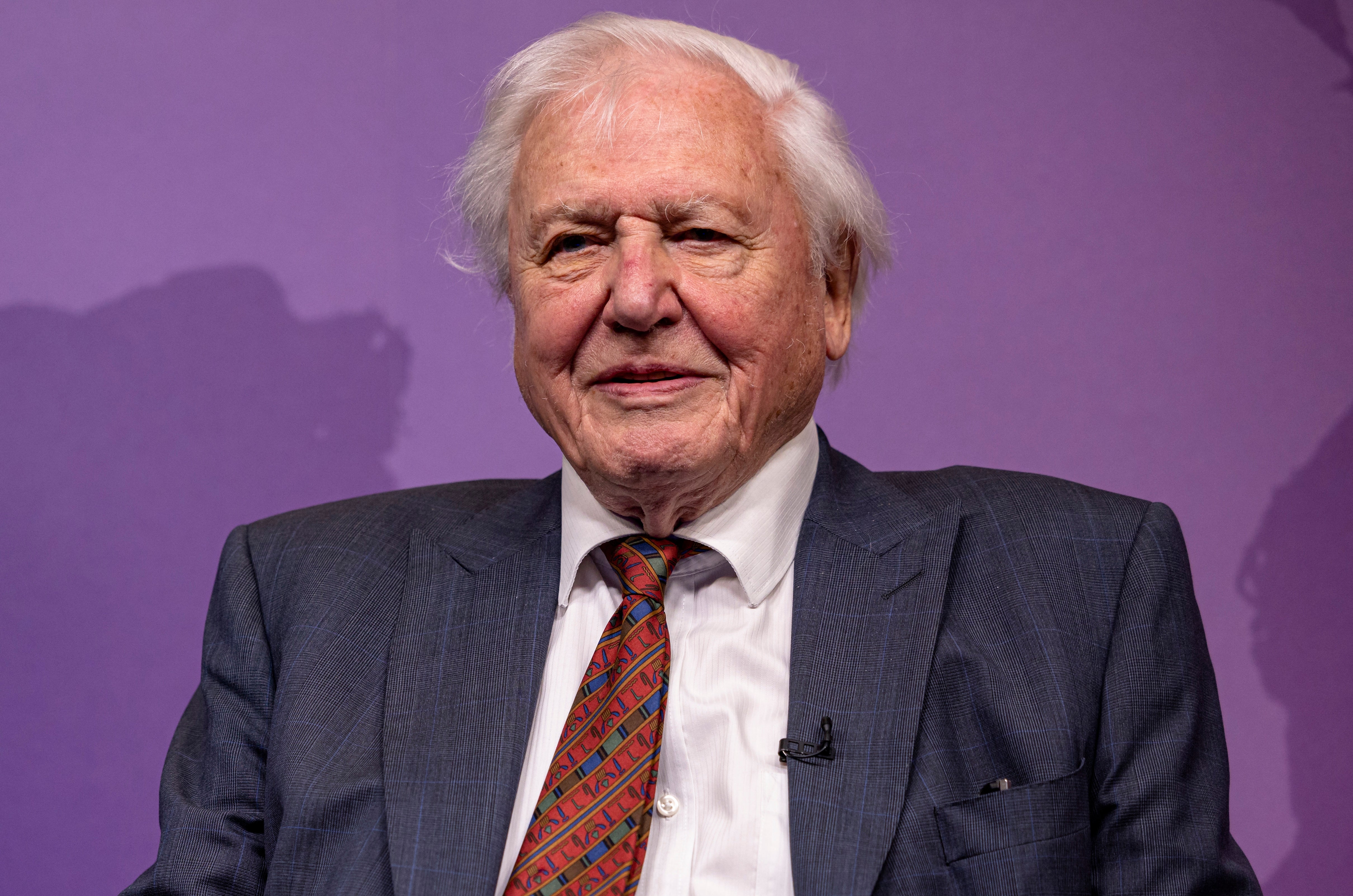 David Attenborough would rather ‘be at home all day’ than go to live 100th ...
