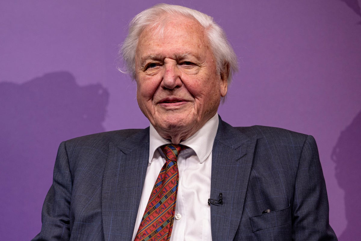 David Attenborough would rather ‘be at home all day’ than go to live 100th ...