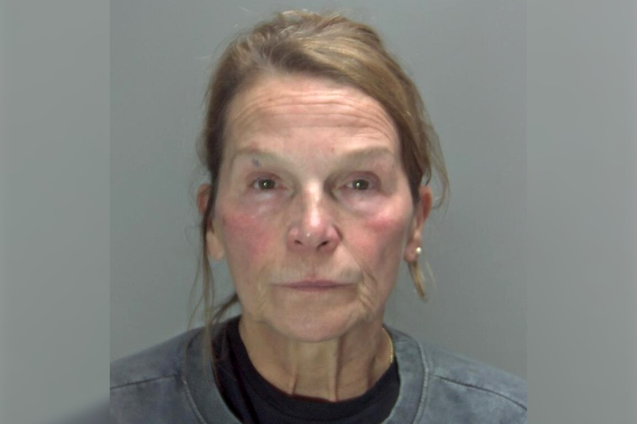 Woman repeatedly stabbed husband after argument over pet dogs being put down
