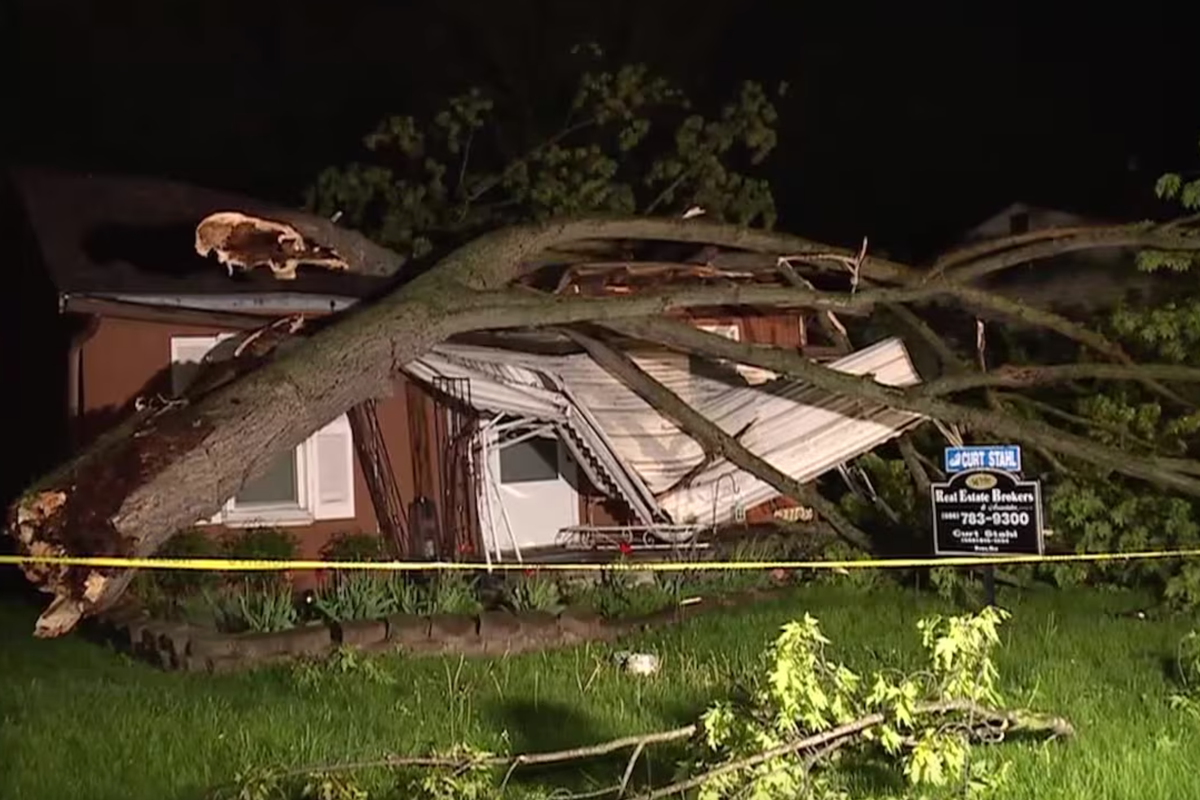 Tree crushes Michigan home just one day after sale was agreed: ‘I can’t believe how bad it was’ – UK Times Tree crushes Michigan home just one day after sale was agreed: ‘I can’t believe how bad it was’ – UK Times