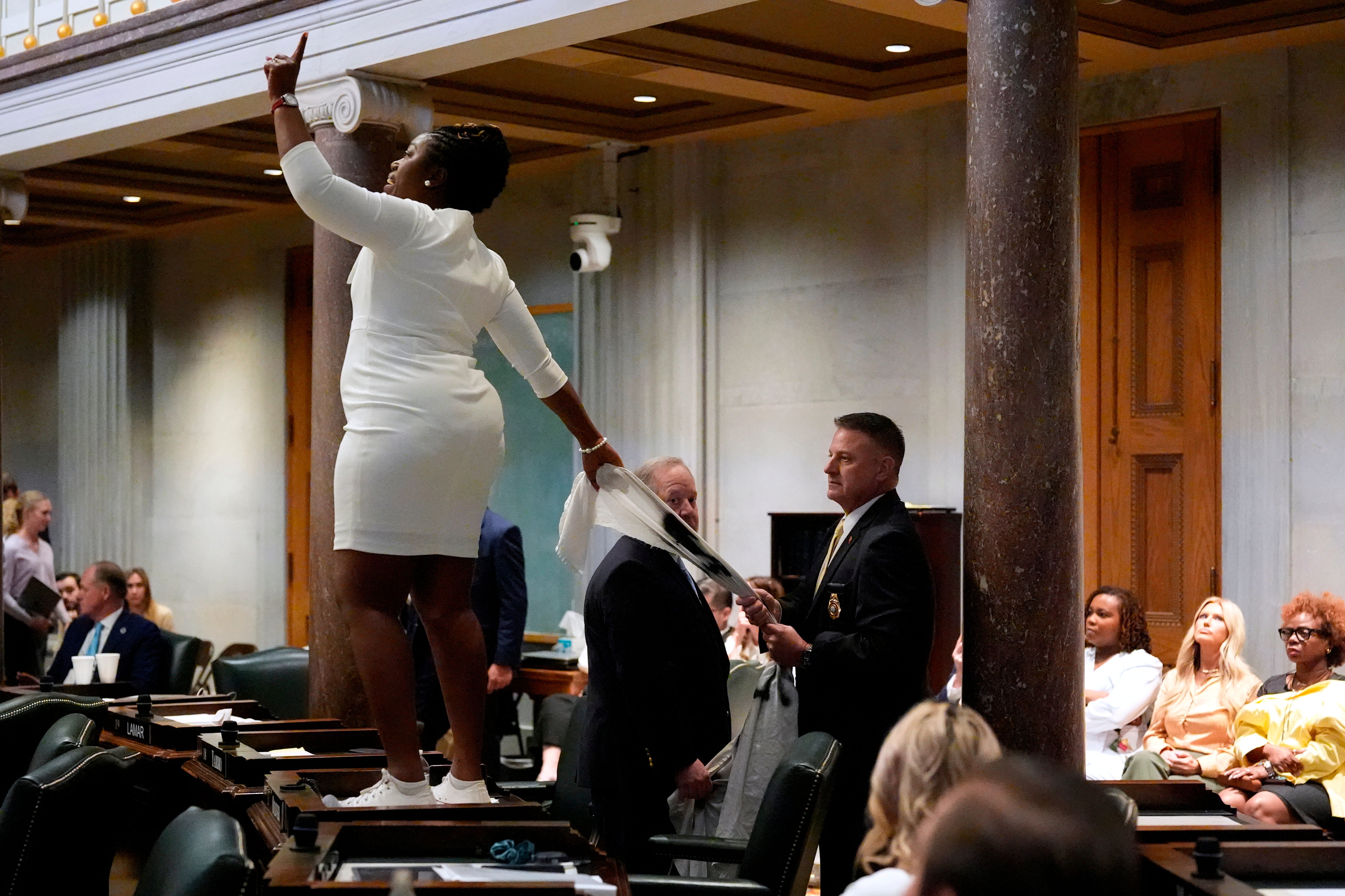 A member of the Senate Sgt.-at-Arms, right, pulls a banner out of the hands of Sen. Charlane Oliver, D-Nashille, as she protests the redrawing of U.S. Congressional voting maps