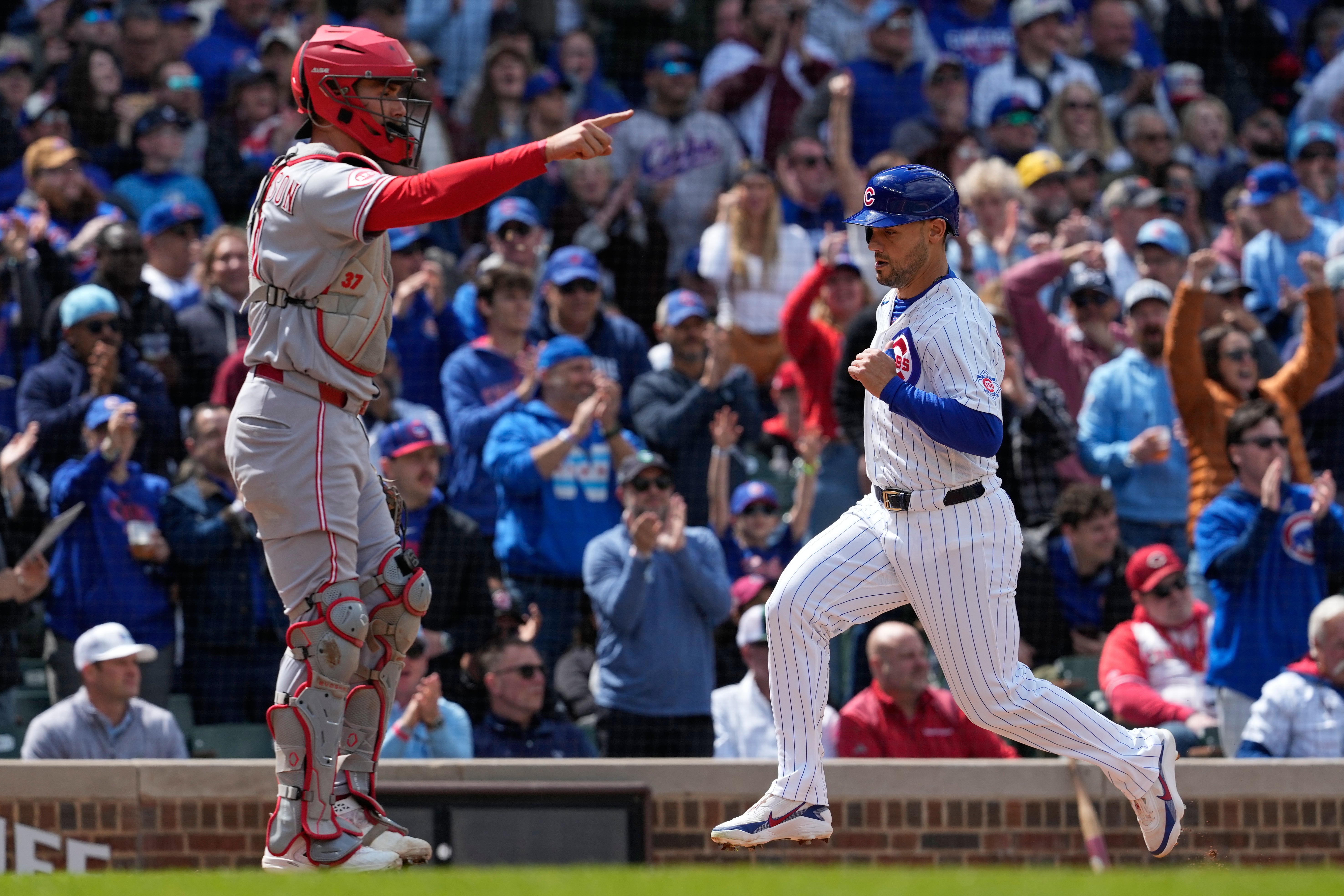 ROJOS CACHORROS