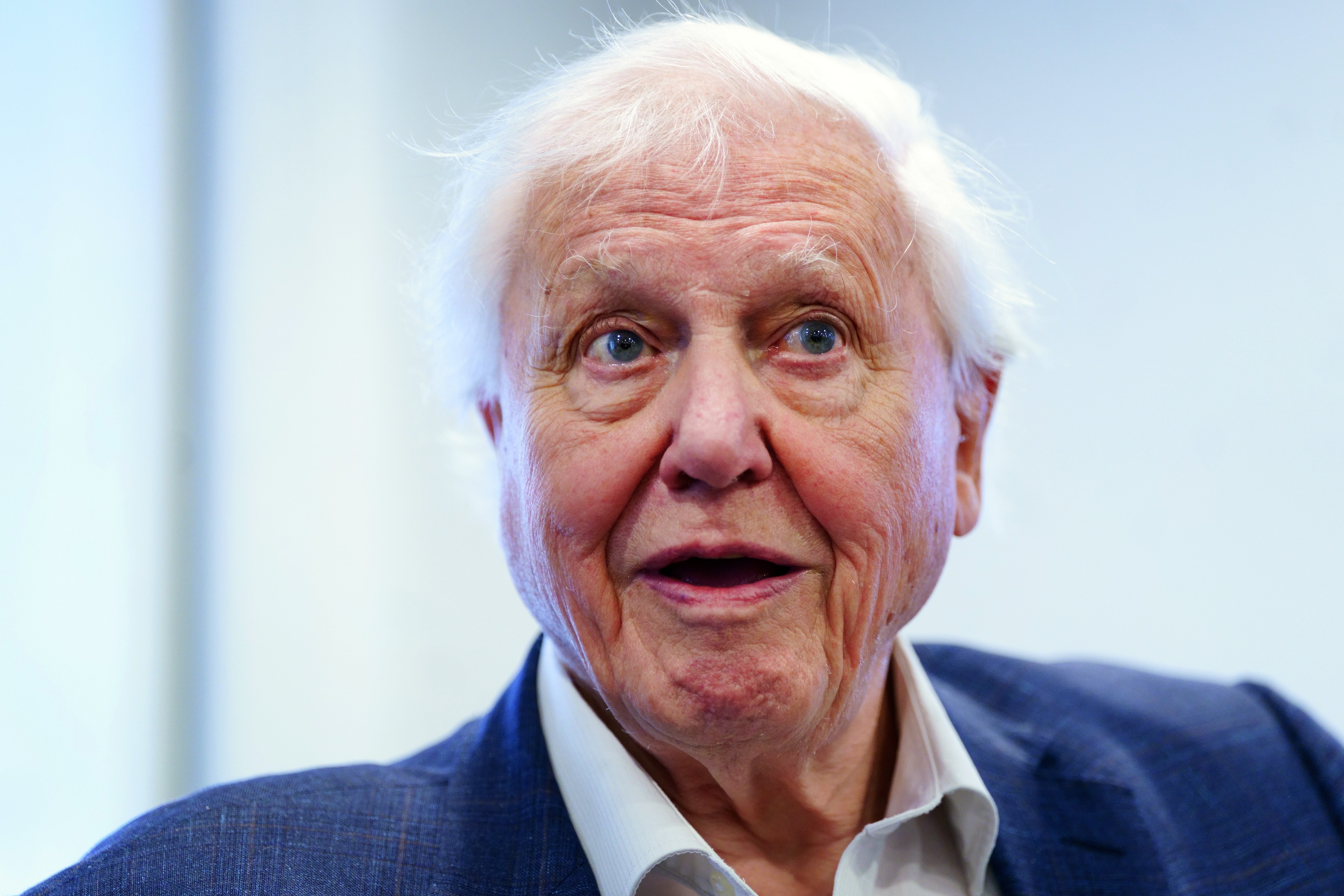 Sir David Attenborough foi inundado com mensagens de aniversário