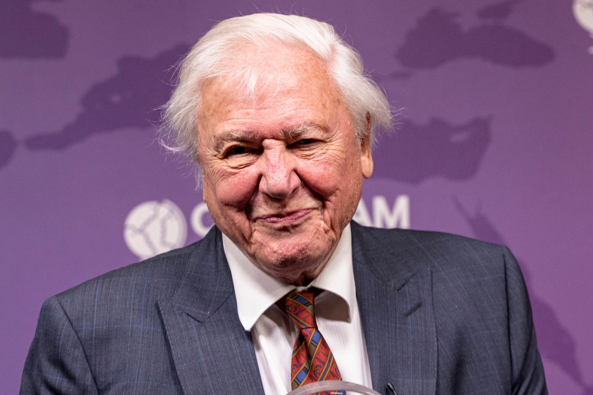 David Attenborough live: 100th birthday of TV icon to be celebrated with special BBC show at Royal Albert Hall – UK Times David Attenborough live: 100th birthday of TV icon to be celebrated with special BBC show at Royal Albert Hall – UK Times
