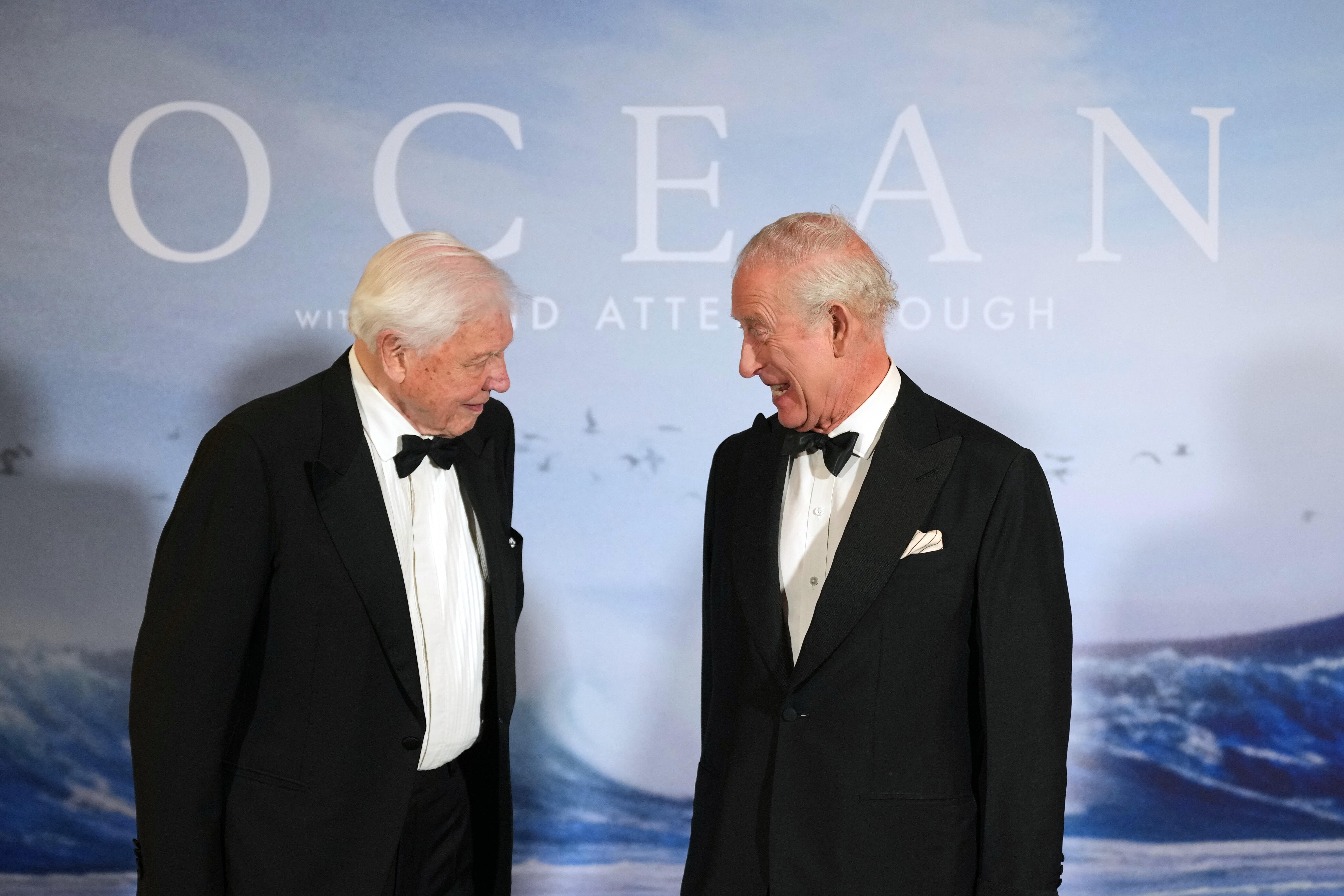 King and Queen lead tributes for Sir David Attenborough's 100th birthday |  The Independent