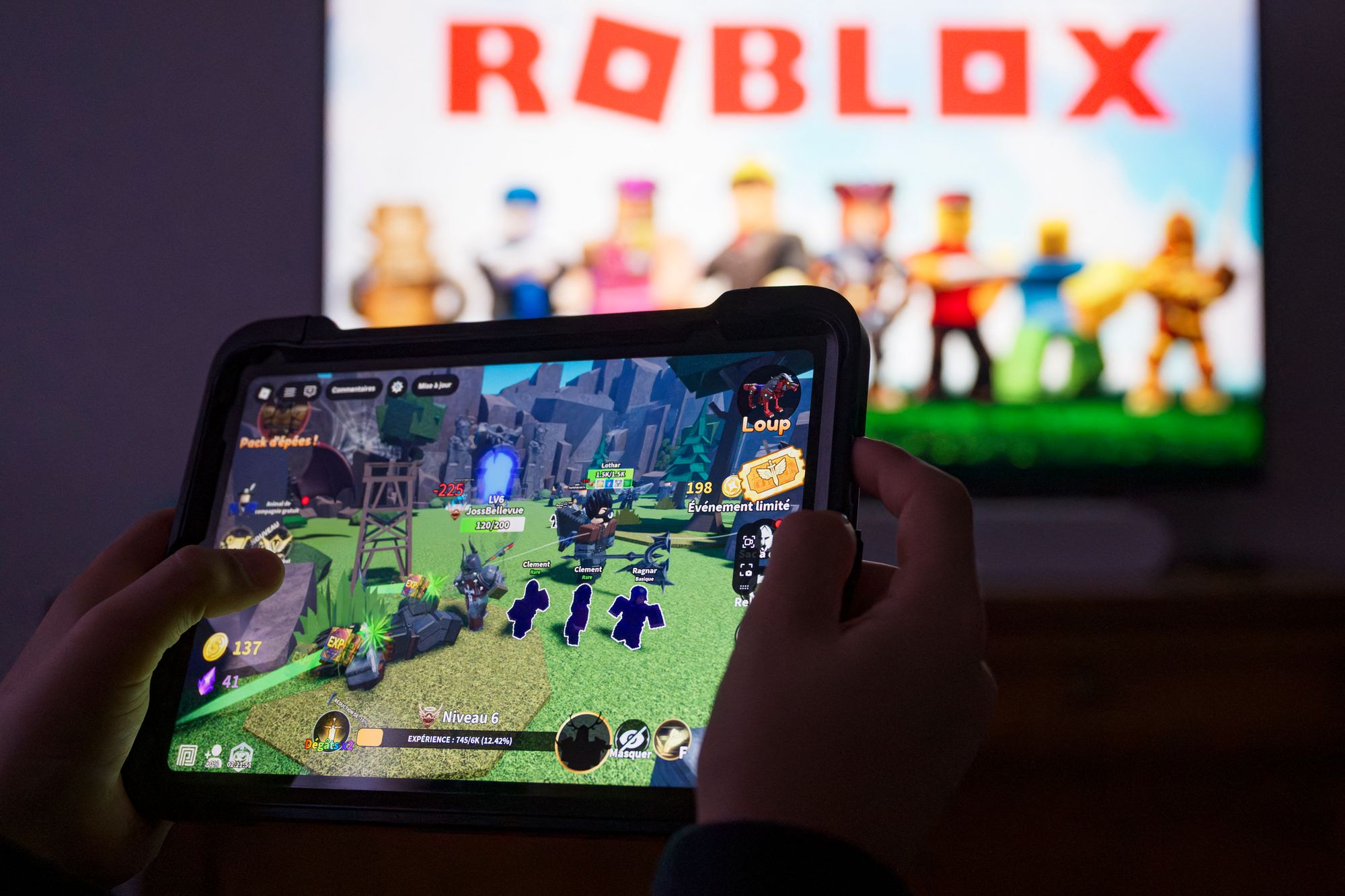Pritt alleging began messaging the victim on Roblox, an online game creation platform (file photo)