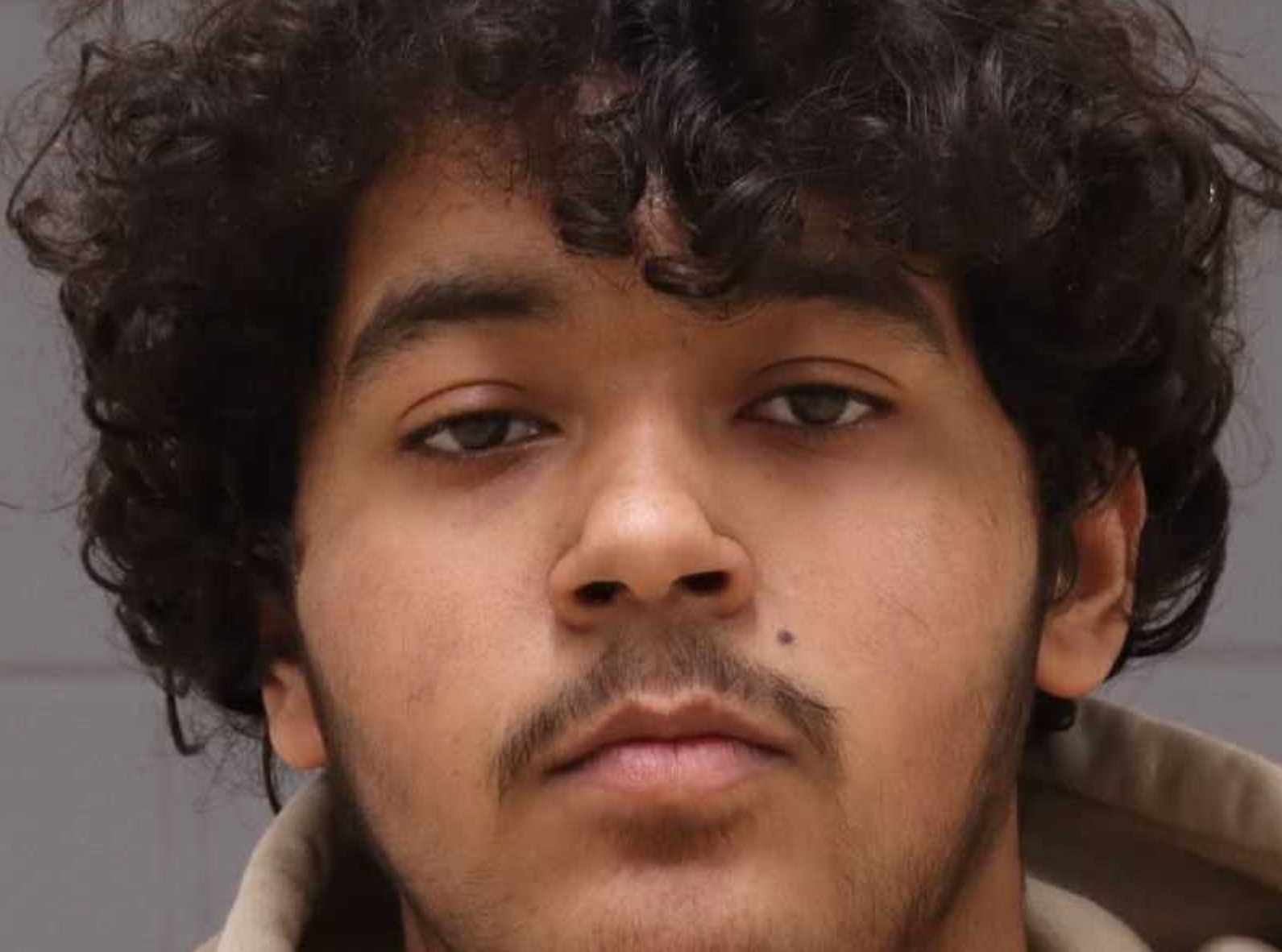 Mom and teen shot dead after soccer dispute at Michigan park turned to gunfire – UK Times