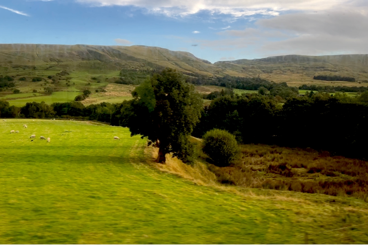 The plan to bring a ‘mini-Switzerland’ to a quaint corner of England