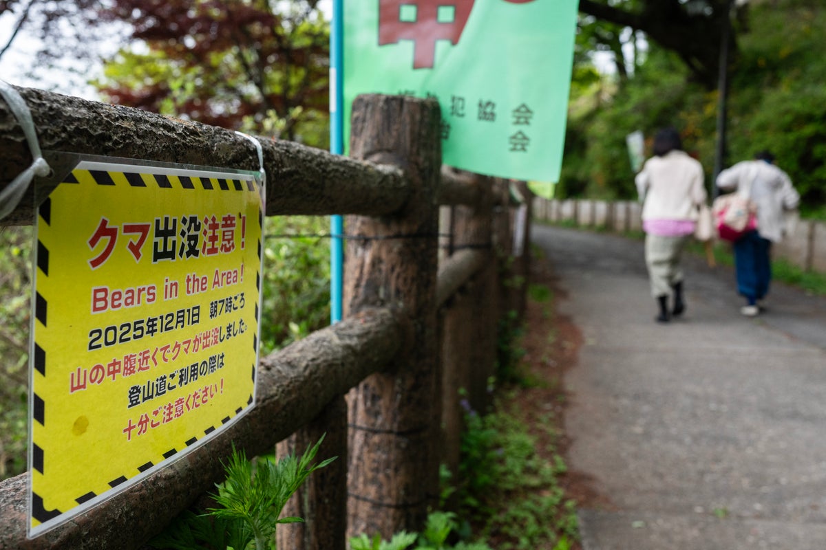 Bulletin world briefing: Black bear chaos in Japan