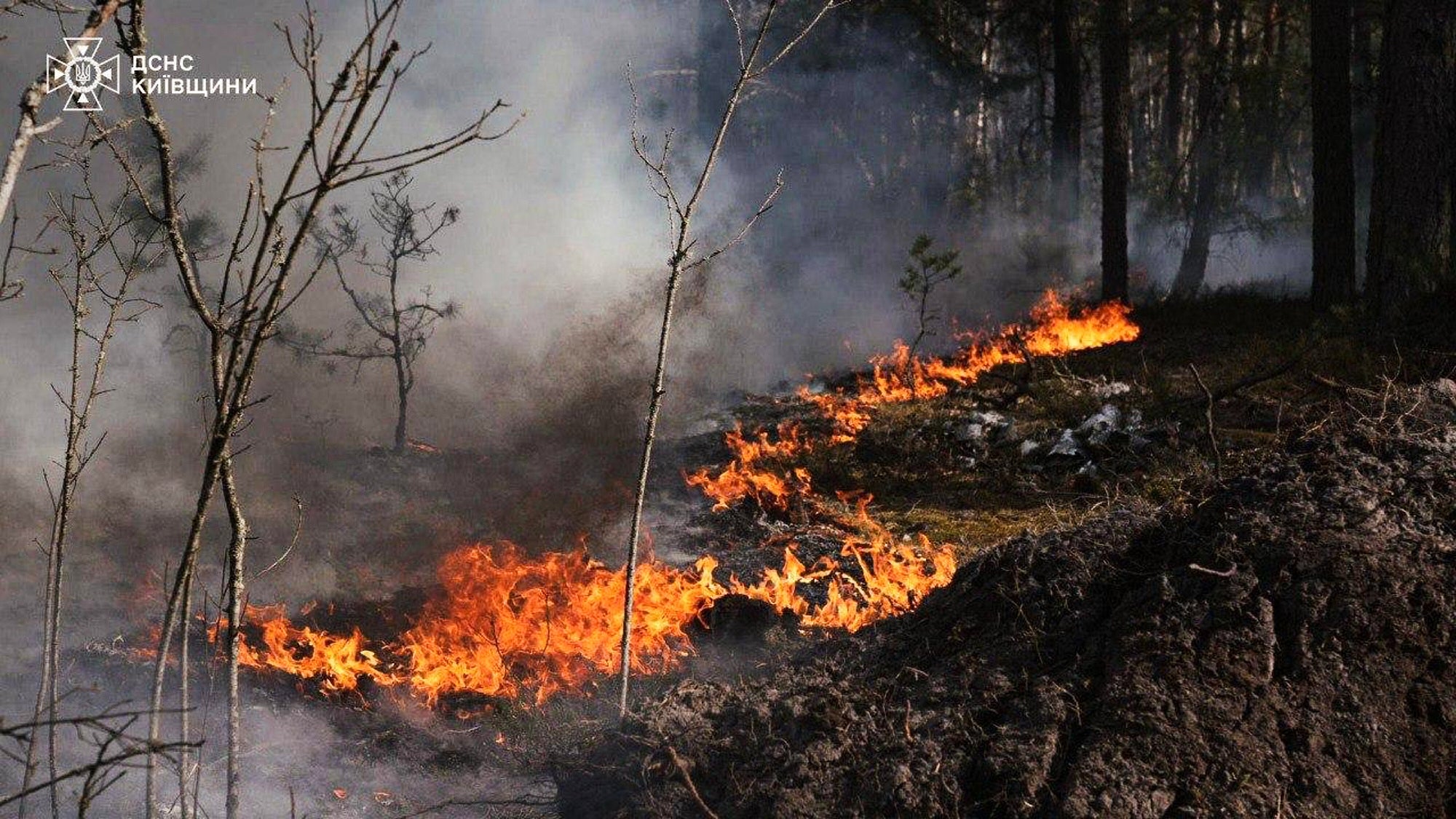 A forest fire burning in the exclusion zone around the Chernobyl nuclear power plant in Ukraine in May 2026