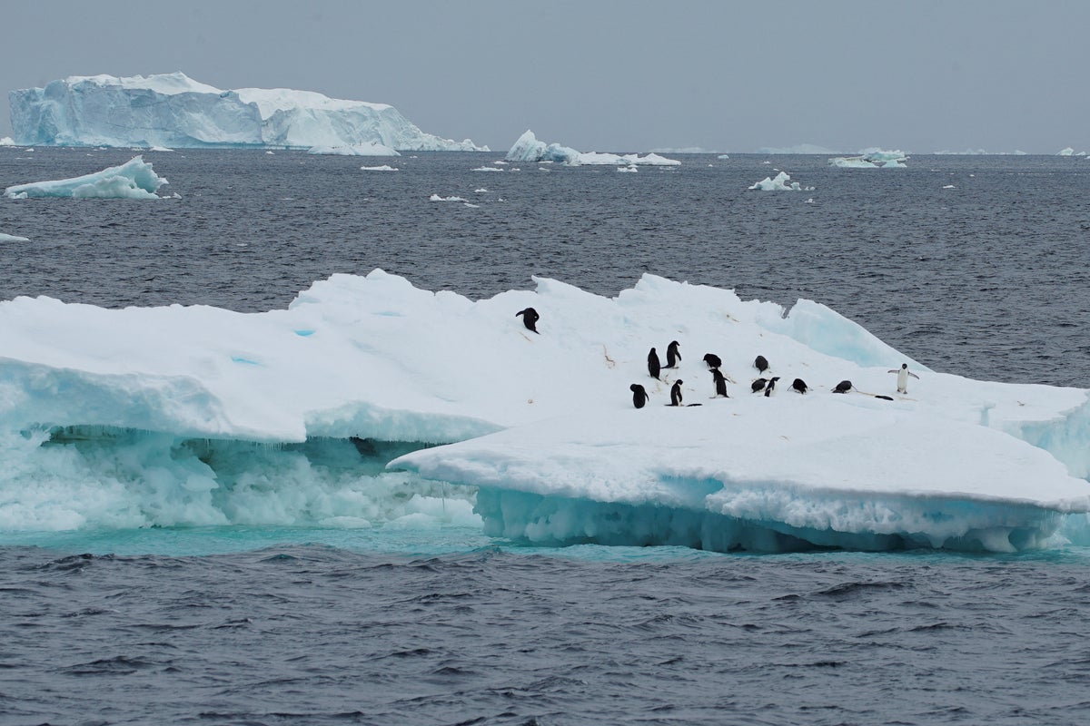 Researchers issue climate change warning as sea ice in Antarctica melts to record lows – UK Times