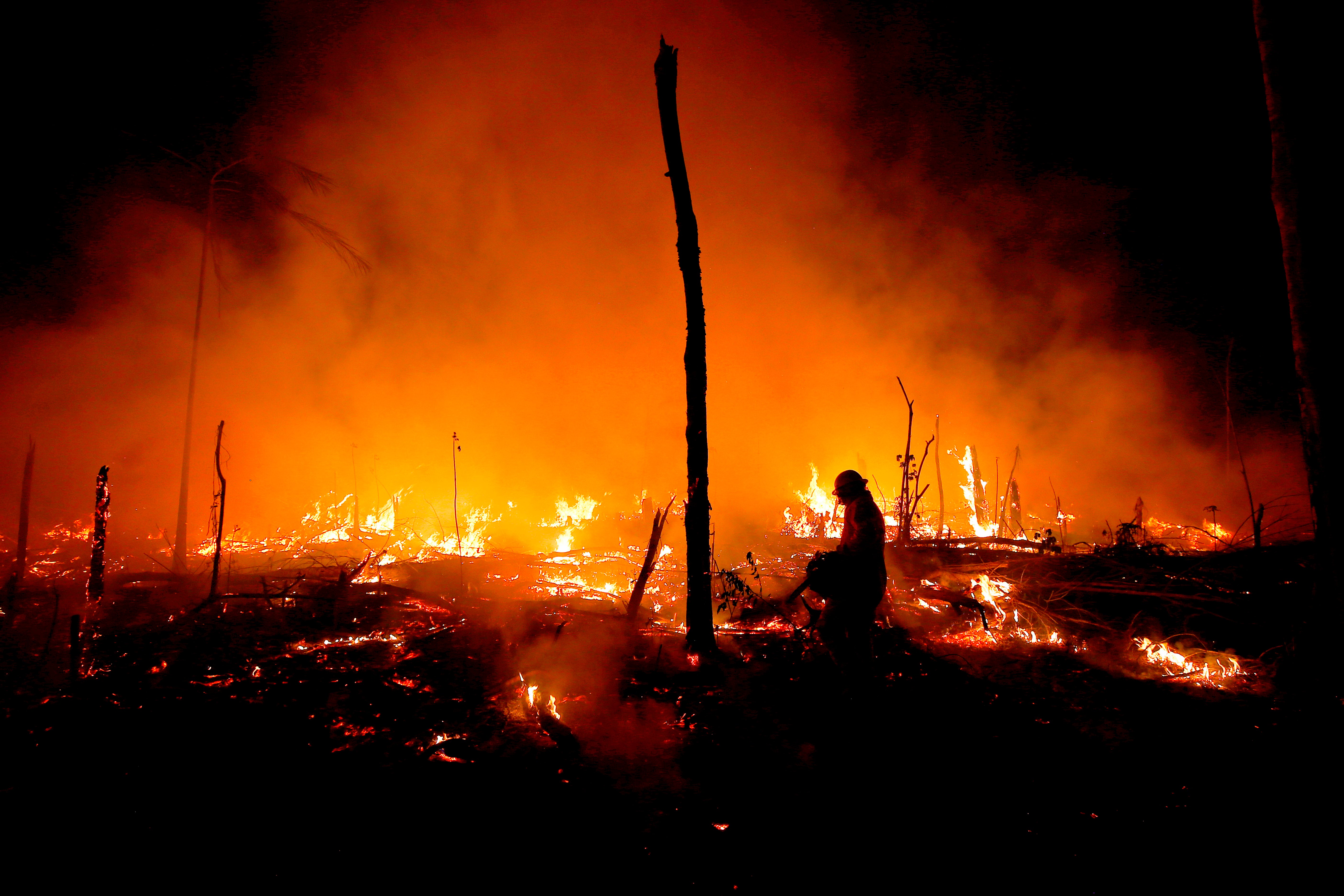 AMAZONÍA-DEGRADACIÓN FORESTAL