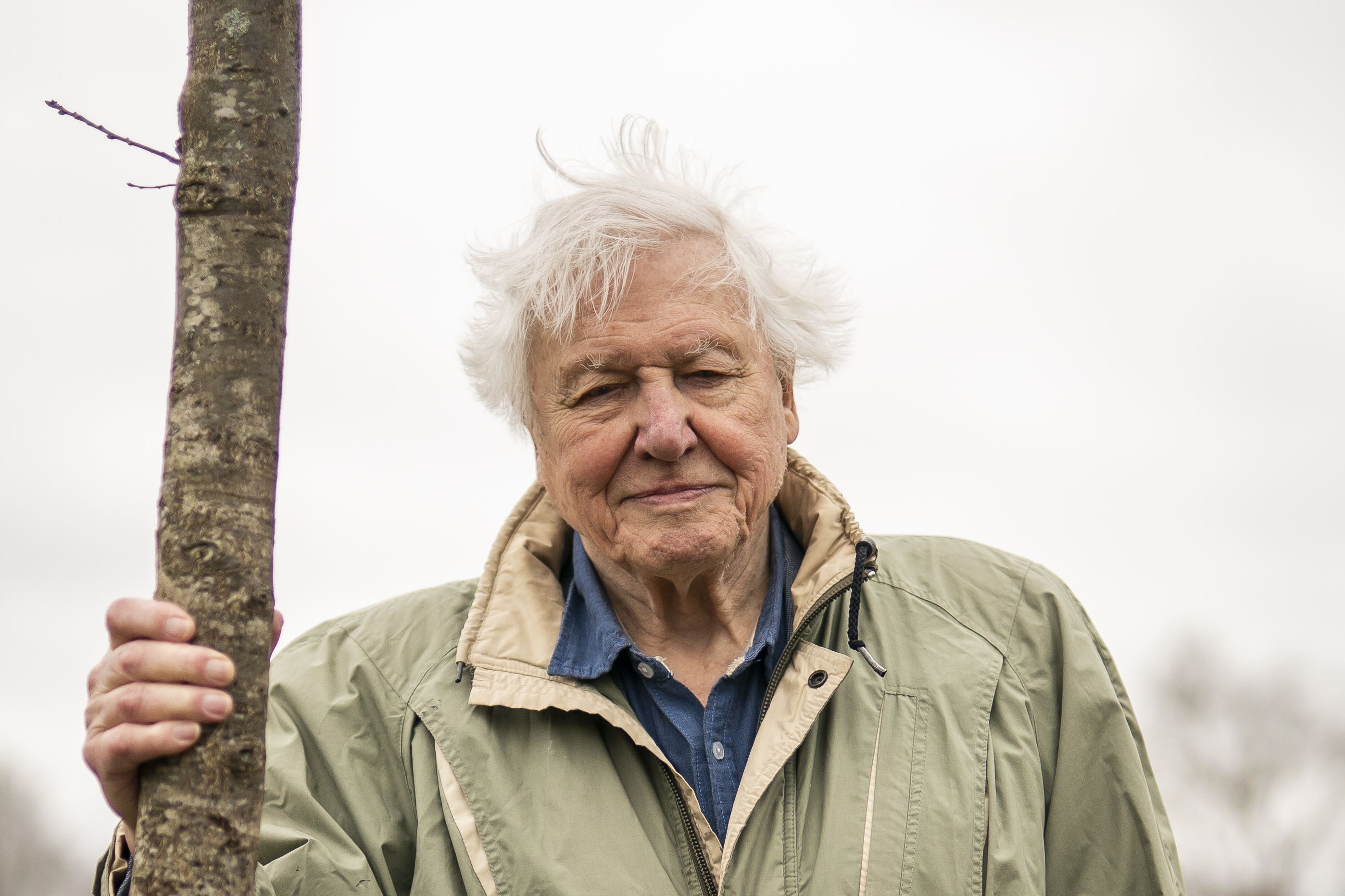 Sir David Attenborough will narrate ‘Blue Planet III’