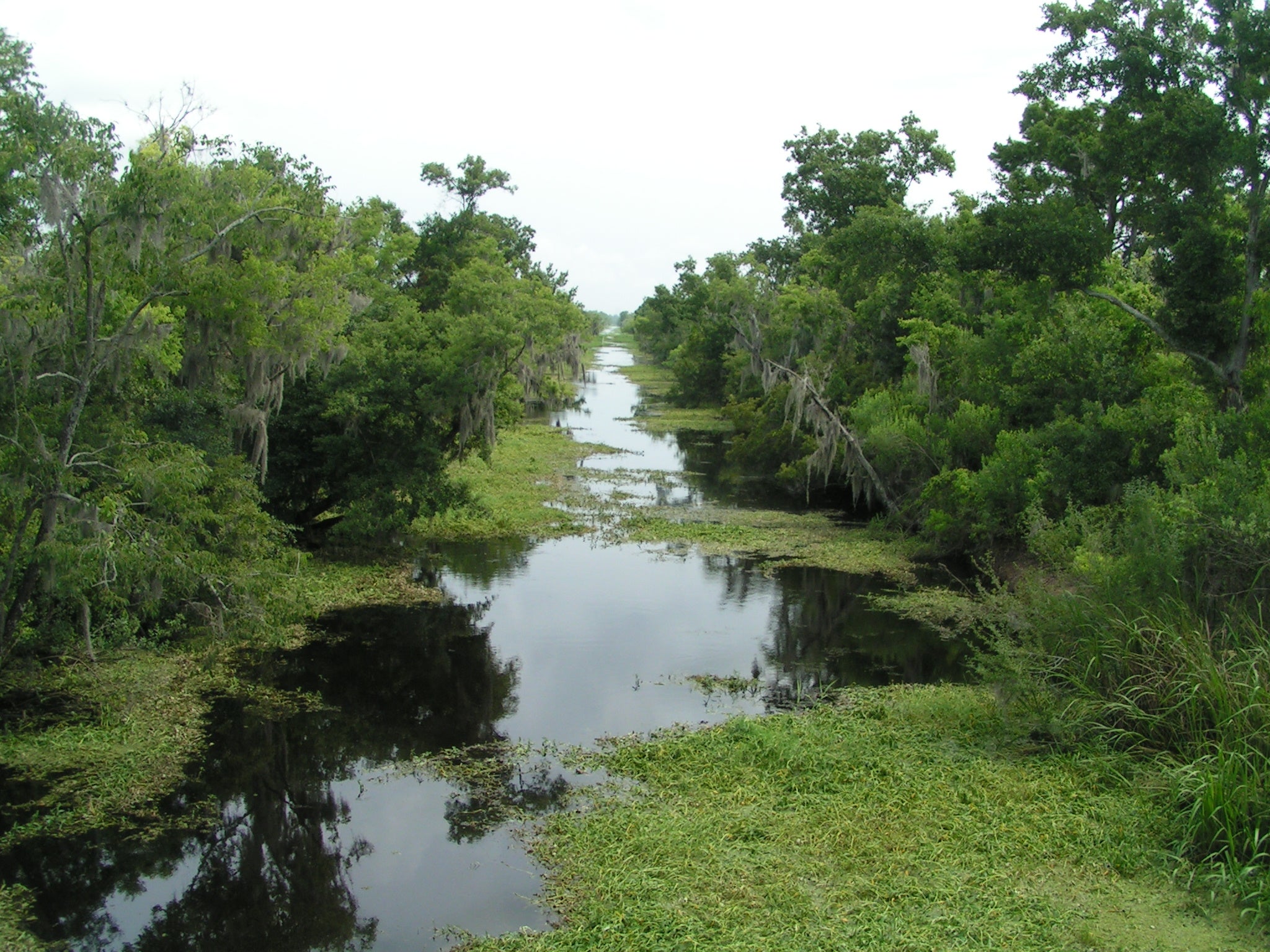 Hunting is currently allowed across about 51 million National Park Service acres spanning 76 sites