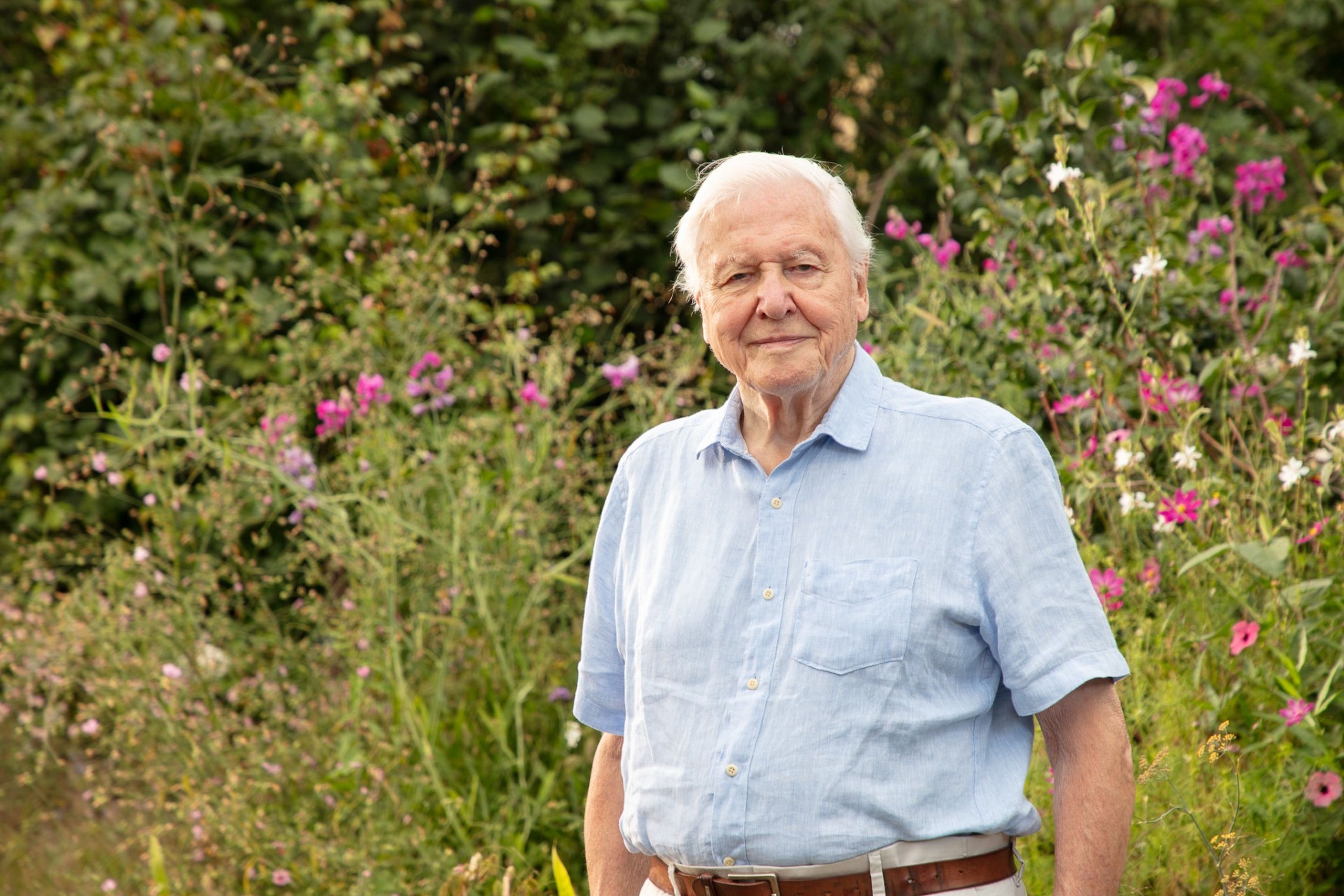 Sir David Attenborough has been recognised for his nature documentary Secret Garden