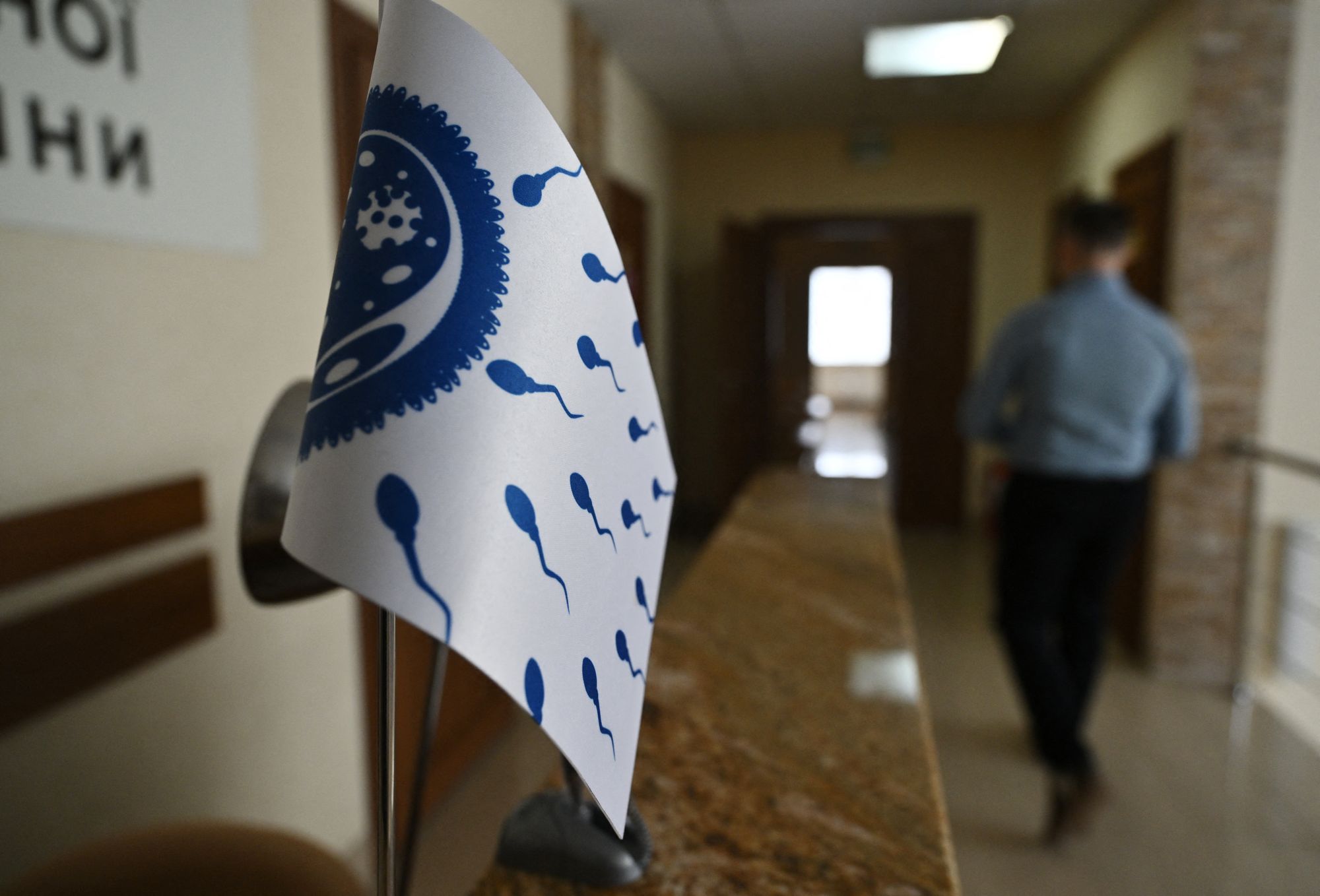 <p>File. A flag with an illustration of sperm and egg </p>