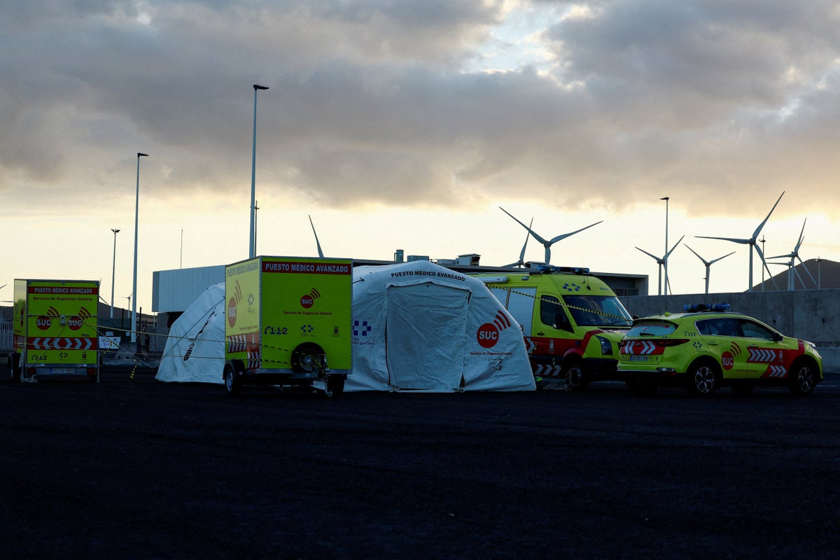 Hantavirus latest: Cruise ship approaches dock in Tenerife as UK sends plane to evacuate passengers
