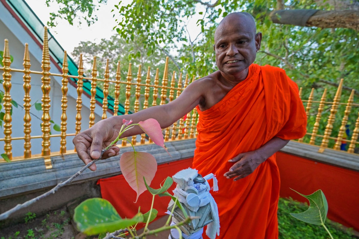 One of world’s most senior Buddhist monks arrested over alleged rape of girl in Sri Lanka – UK Times