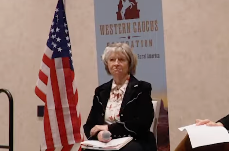Karen Budd-Falen, a top official in the Interior Department, said in December that policy changes to cattle grazing benefited her family ranch
