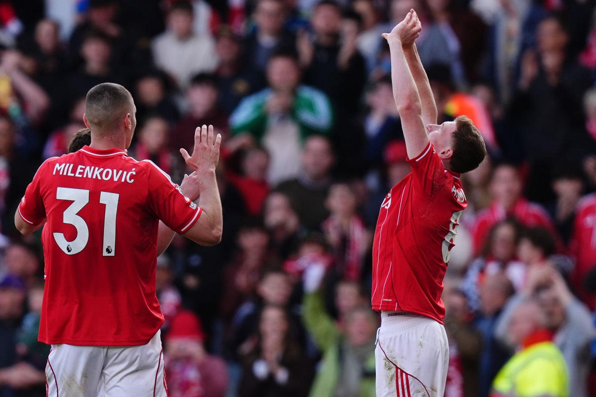 Late strike from Elliot Anderson secures vital Newcastle draw for Forest