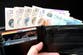 Dolphins, foxes and butterflies among animals which could feature on new UK banknotes
