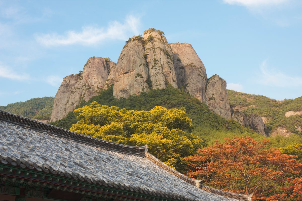 South Korean rescuers search for 11-year-old boy missing after solo hike in mountain park – UK Times South Korean rescuers search for 11-year-old boy missing after solo hike in mountain park – UK Times