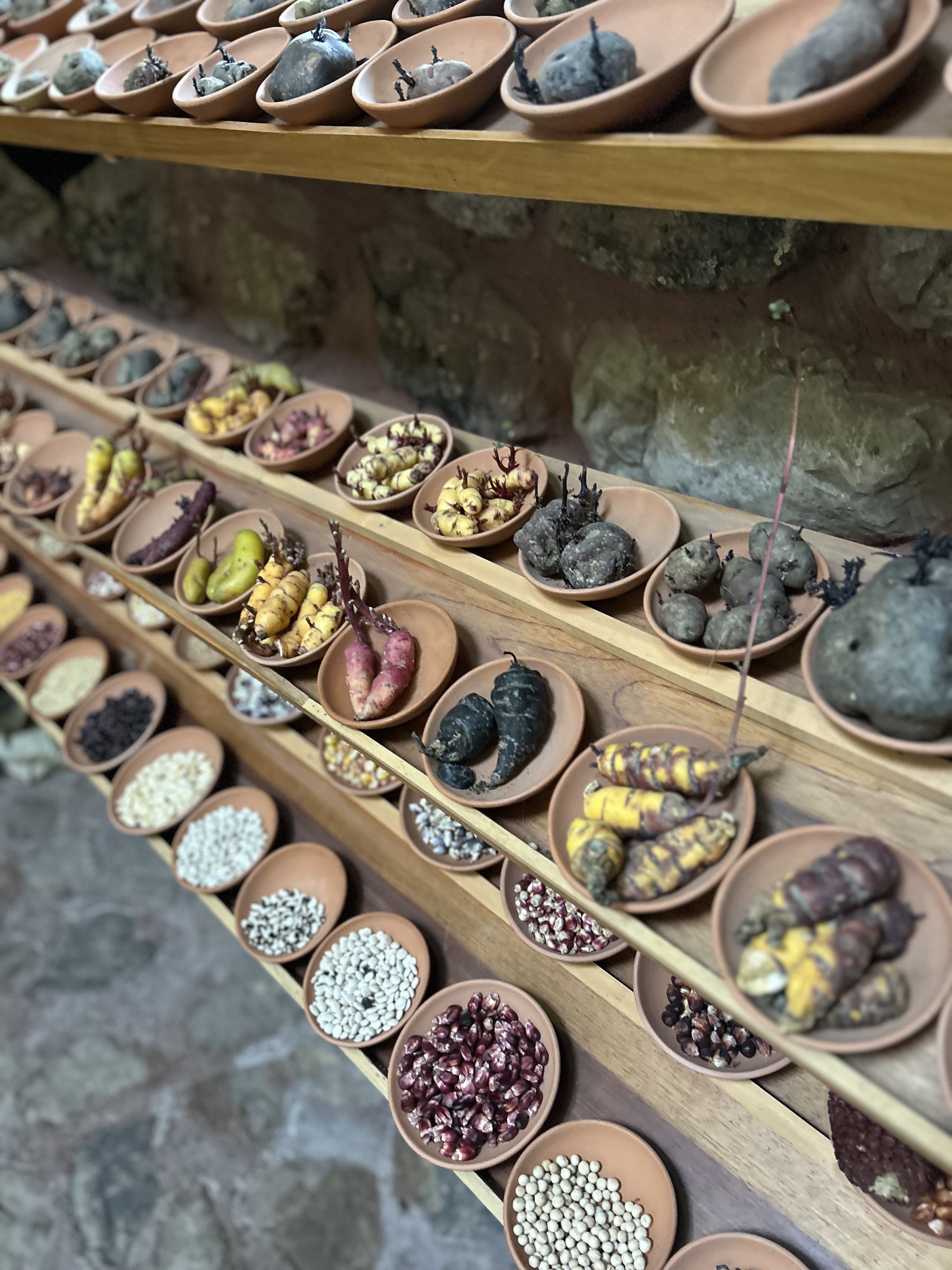 Shelves of potatoes at Parque de la Papa
