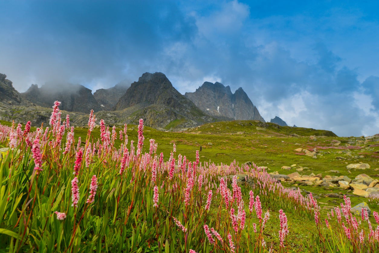 The valley is found in the state of Uttarakhand