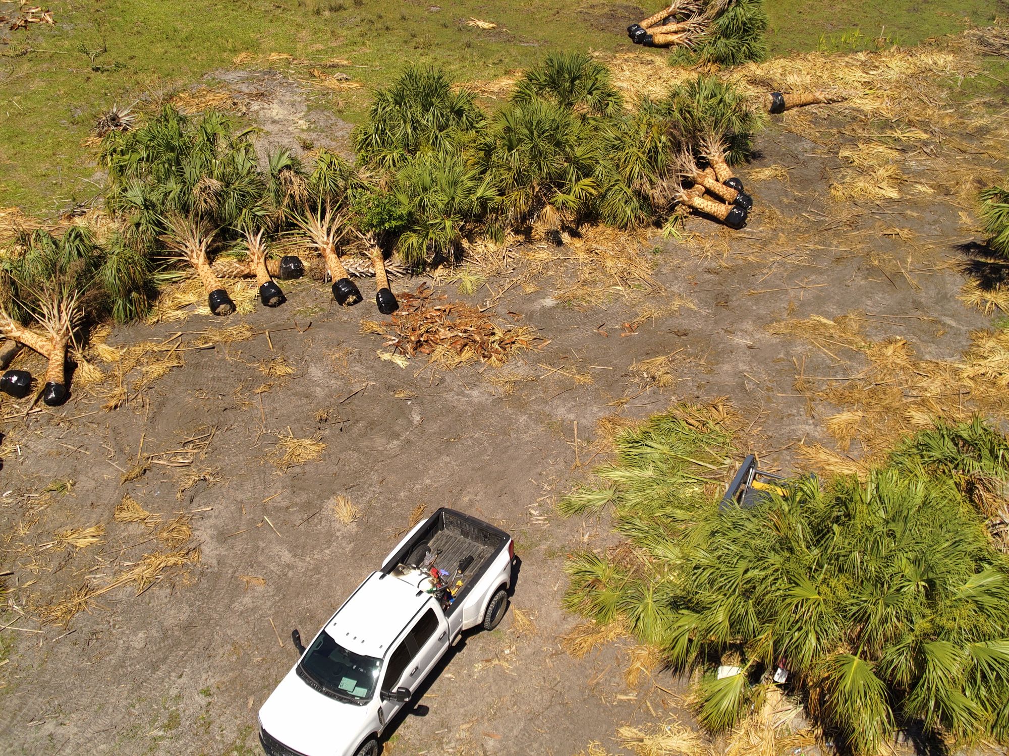 A view of the field Neftali Madrid Paredes was helping to clear when he was shot in the back by a stray bullet, allegedly from an adjacent police shooting range being used by an Air Force squadron