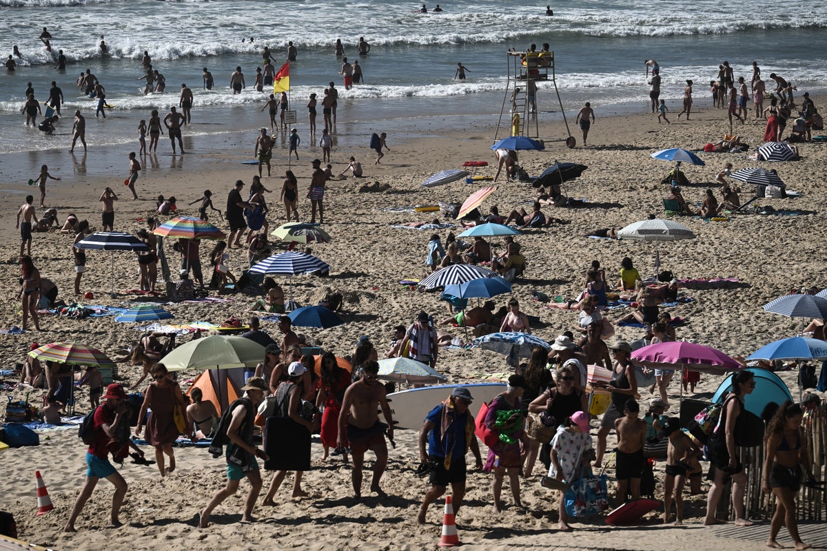 Scientists issue ‘Godzilla’ El Niño warning with temperatures set to reach record highs