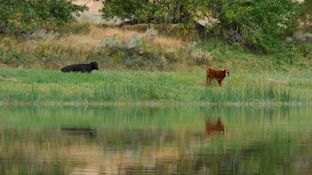 Trump Public Lands