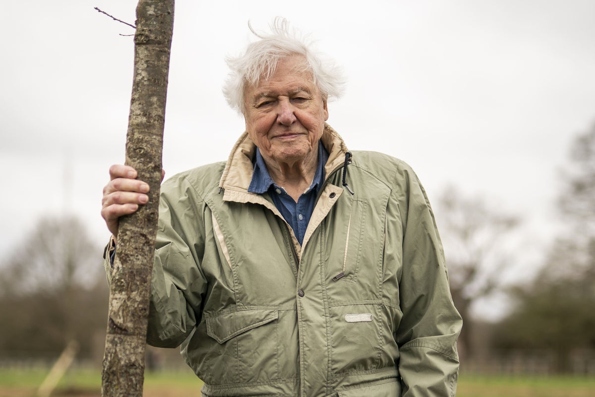RHS Chelsea Flower Show celebrates Sir David Attenborough&rsquo;s 100 years with plants for each decade