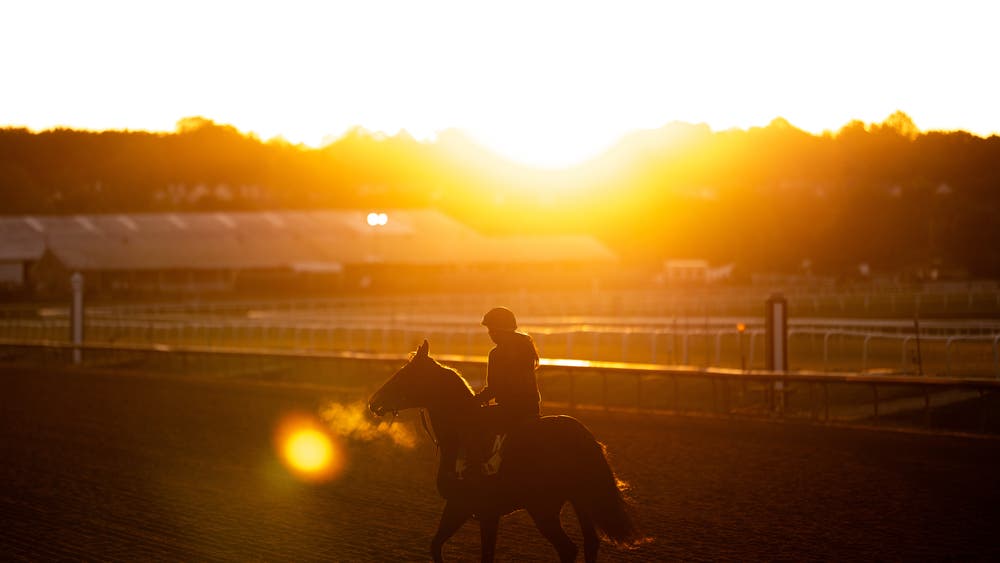 Photos of Laurel Park as storied track reaches final chapter | The ...