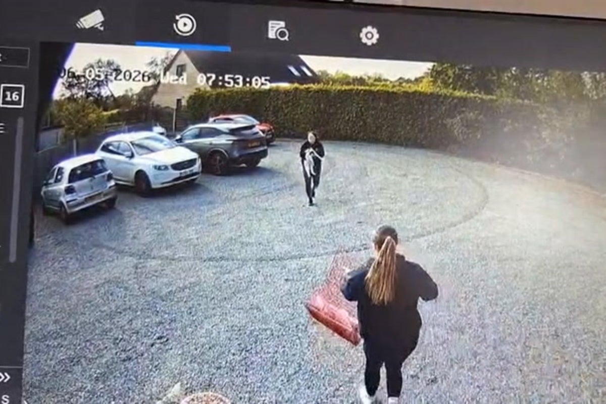 Post image 2