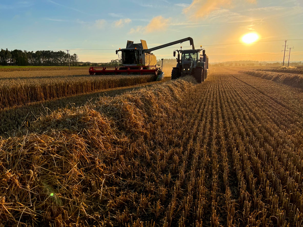 Greenpeace has called on the government to support British farmers to cut pesticide use