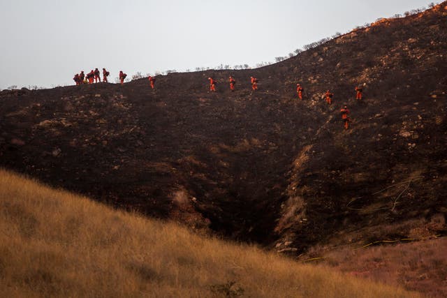 13,000-year-old oak tree spared from being destroyed by Californian ...