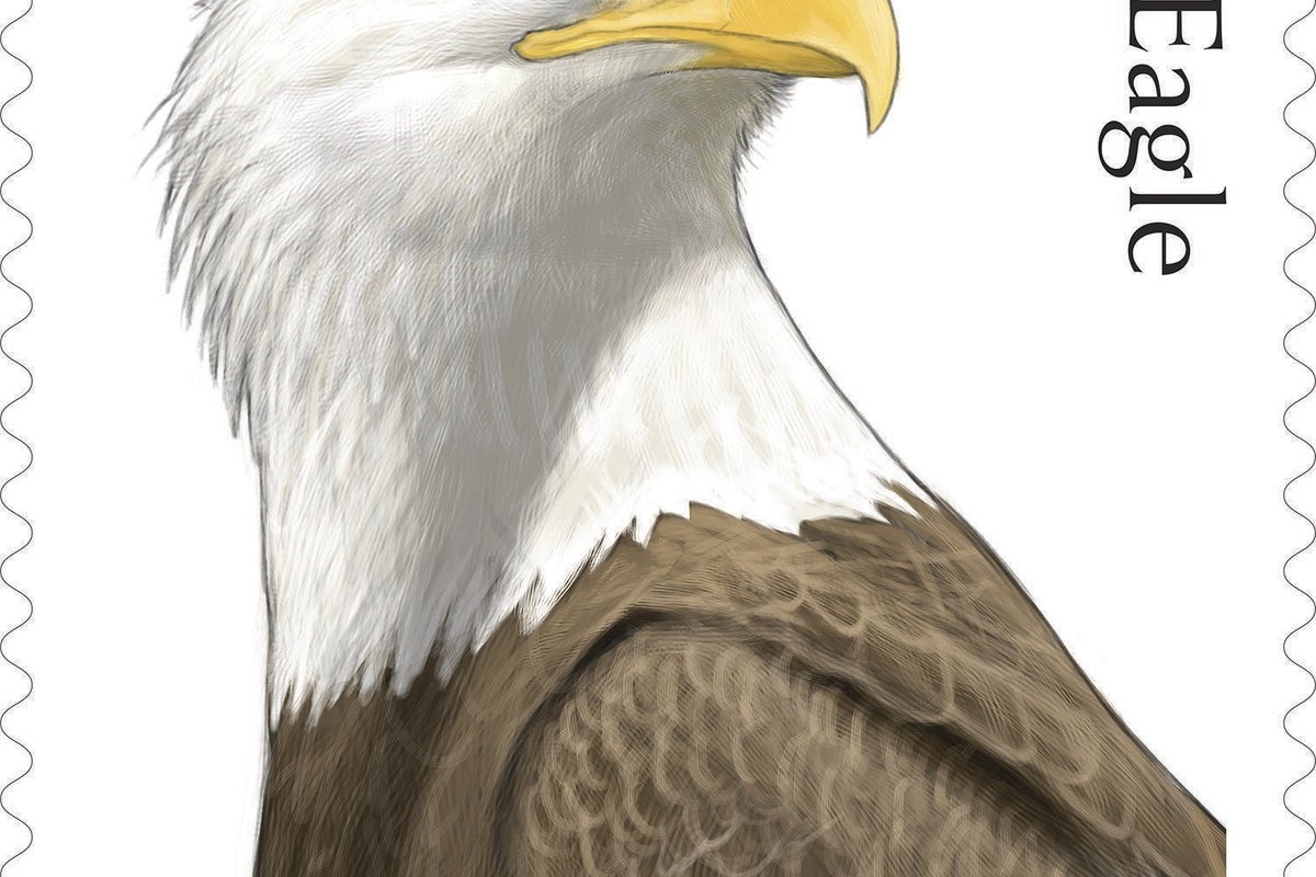 Postal Service releases special edition bald eagle stamps for America's 250th