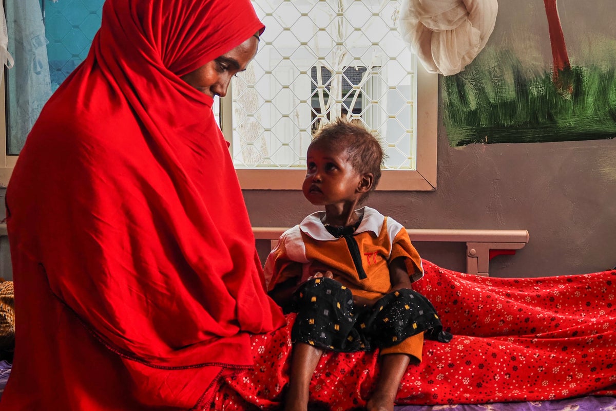 Somalia is in a deadly drought again. Most humanitarian aid isn’t there this time – UK Times