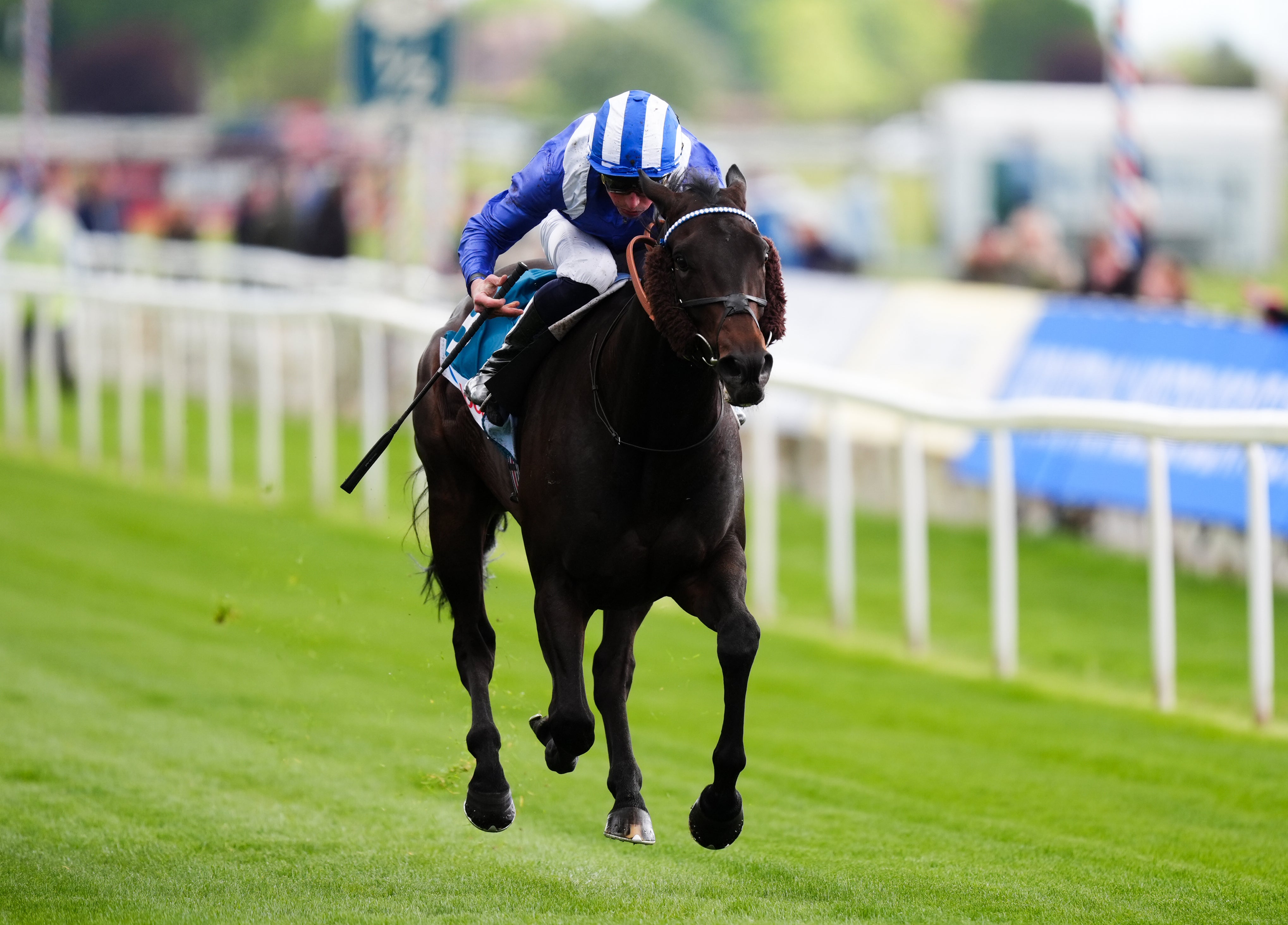 independent.co.uk - Jonathan Doidge - York racing tips: Best bets & predictions for Friday at the Dante Festival