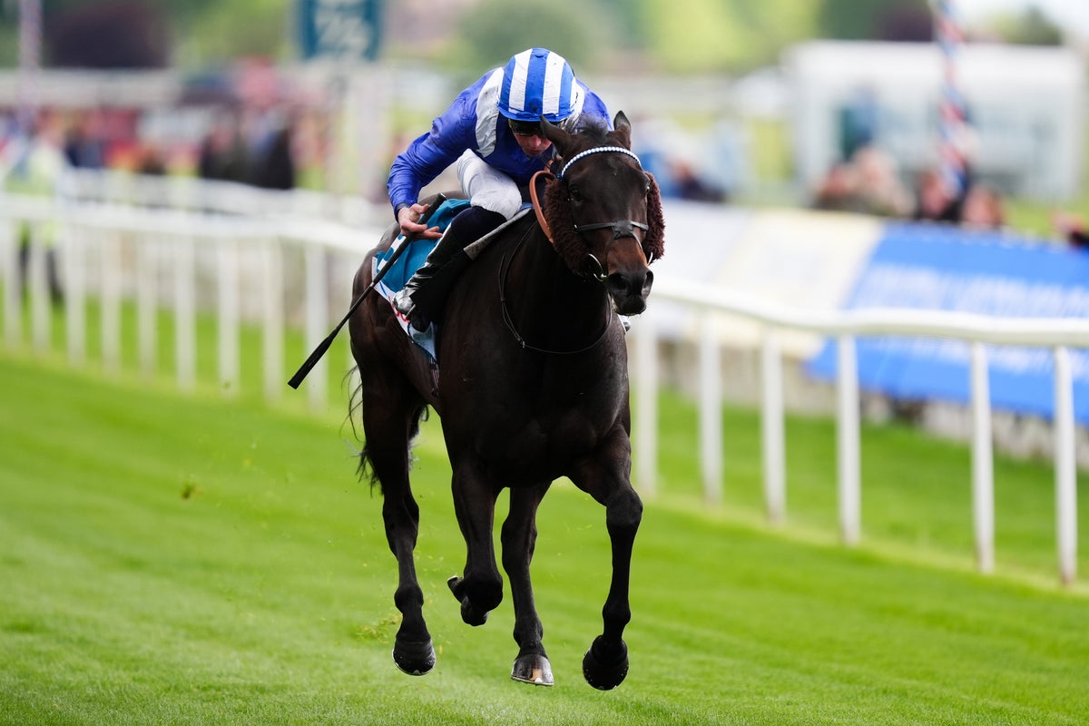 York racing tips: Best bets & predictions for Friday at the Dante Festival York racing tips: Best bets & predictions for Friday at the Dante Festival