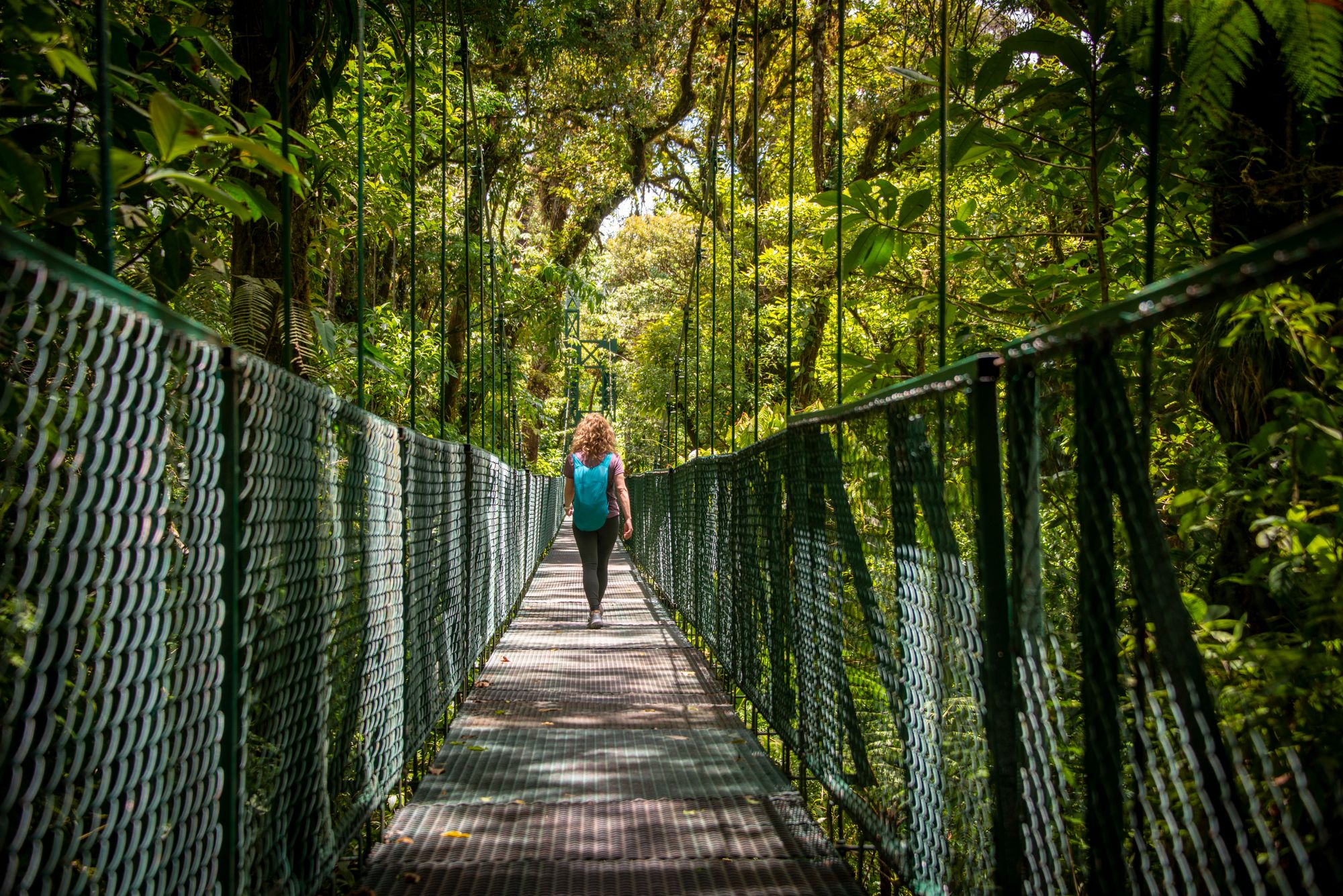 Monteverde Cloud Forest