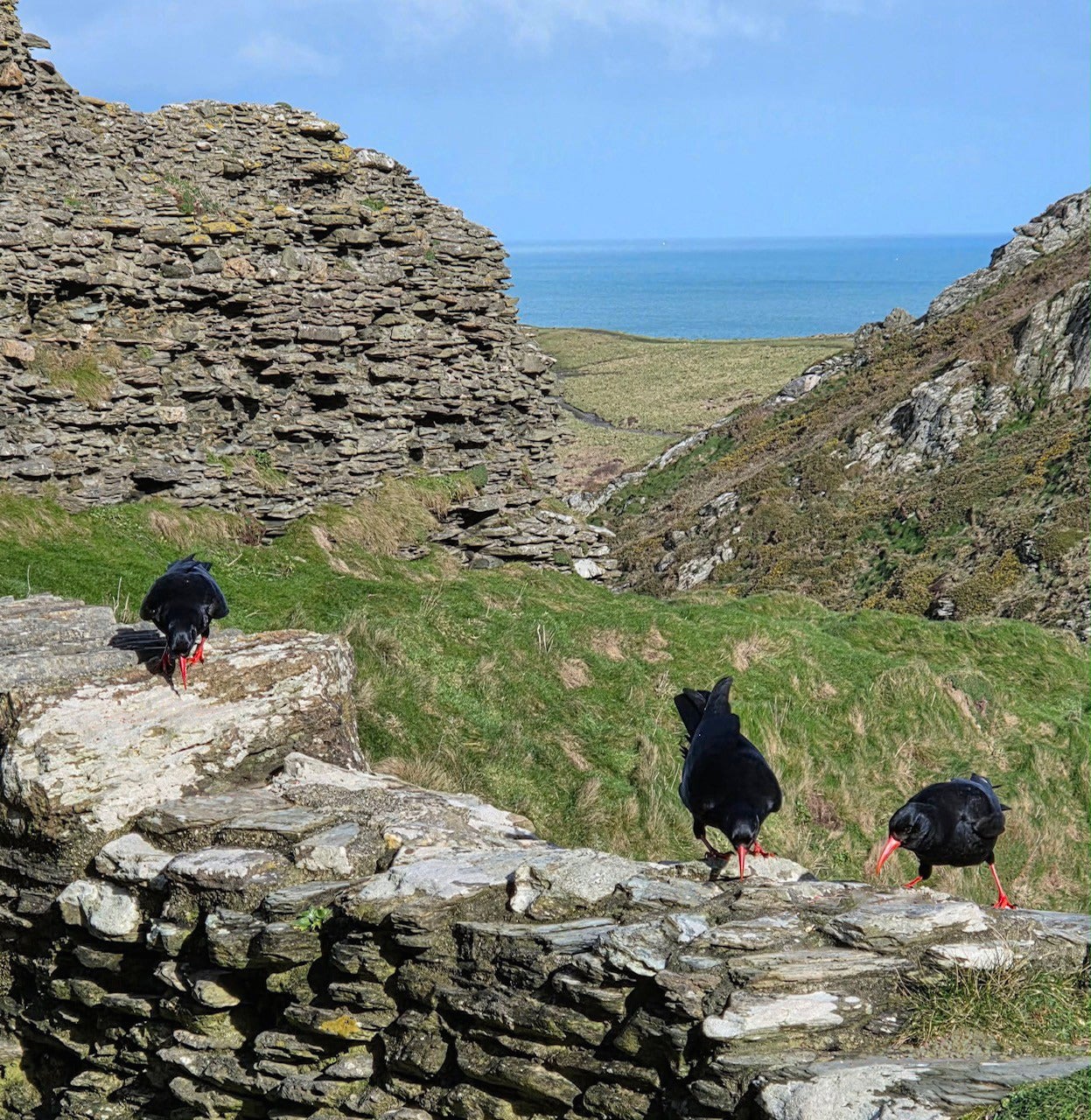 Cornish legend says King Arthur developed a cough when he died