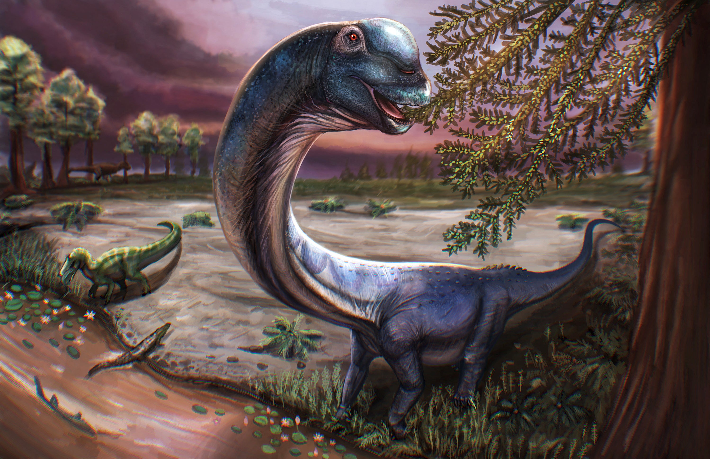 Artist reconstruction of the Cretaceous Period sauropod dinosaur Nagatitan chaiyaphumensis, whose fossils were unearthed in Thailand.