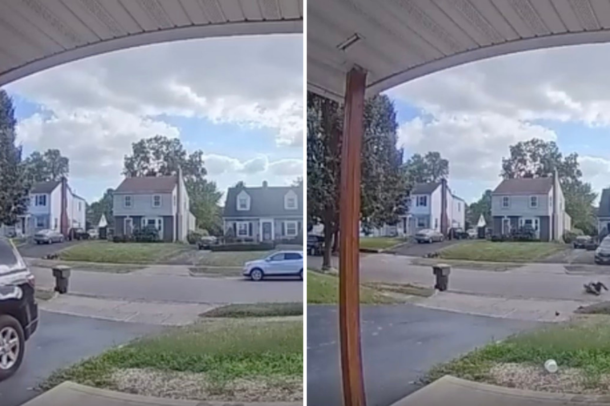 Child puts car in reverse as family frantically tries to stop runaway vehicle