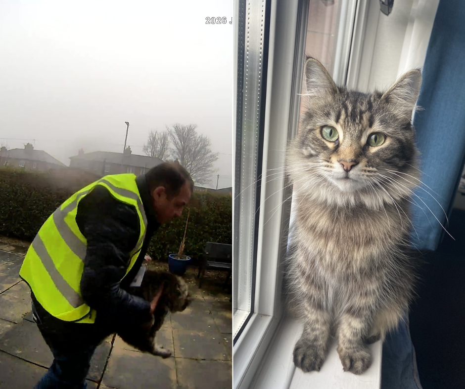 Amazon delivery driver caught on doorbell camera stealing family cat is spared prison – UK Times