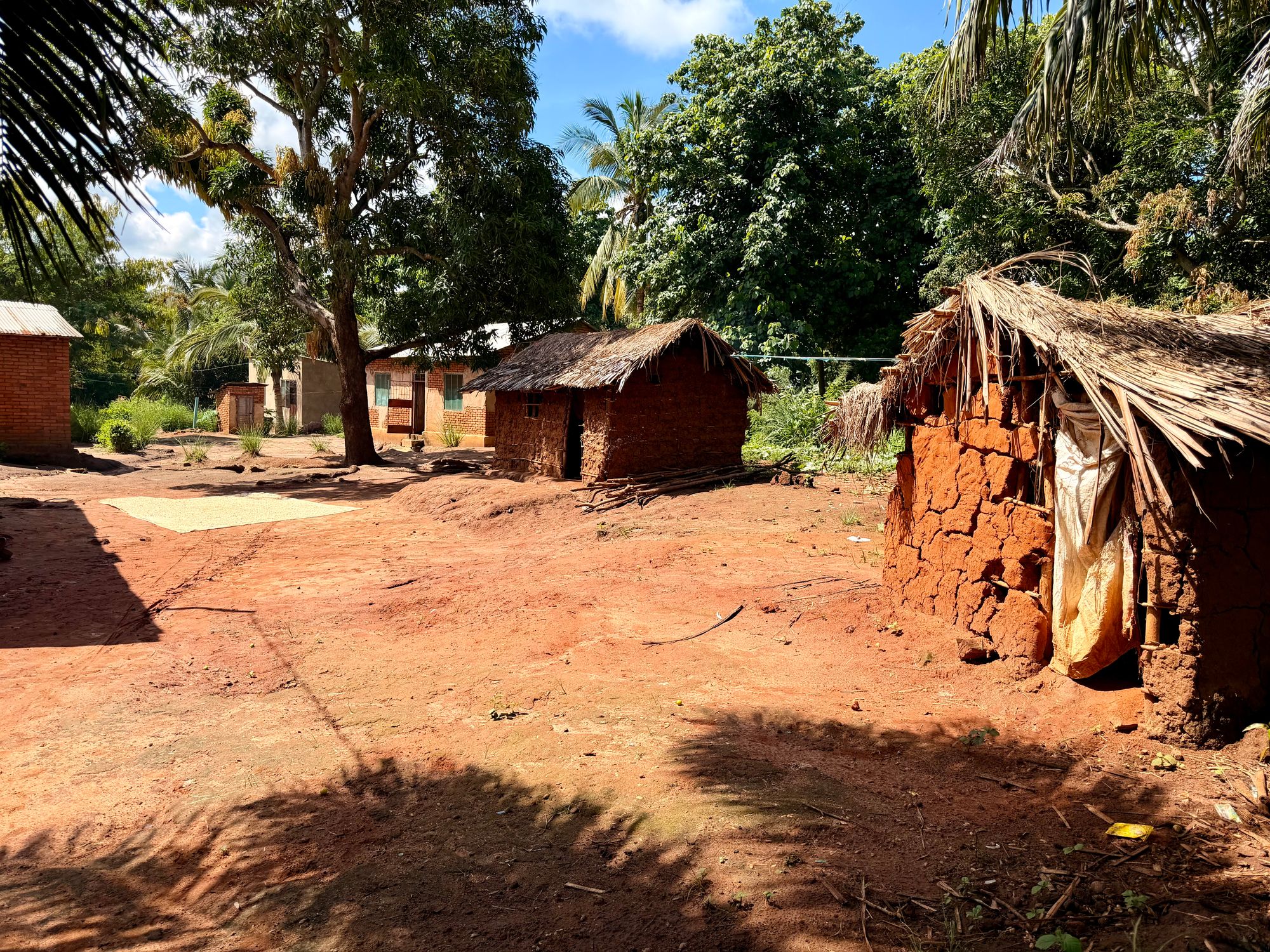 Typical houses in Zombo Village, Ulaya Area Programme