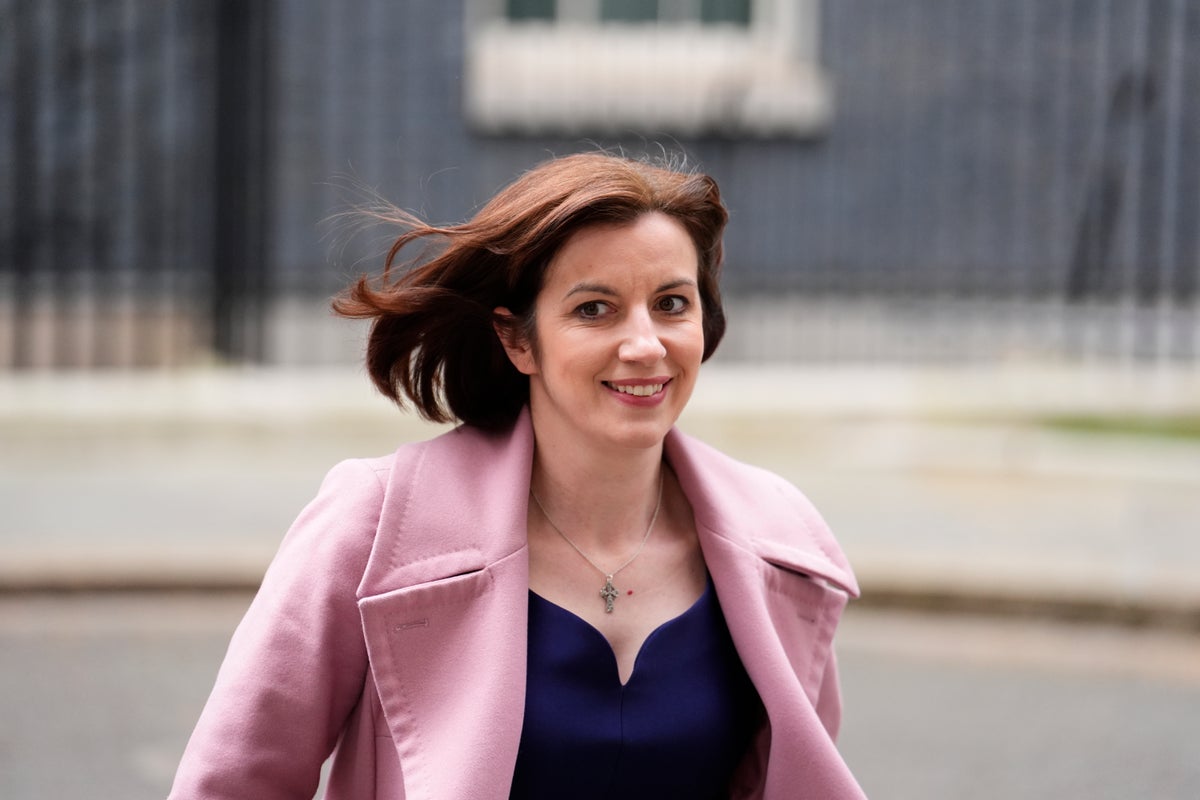 First Cabinet minister breaks cover after Wes Streeting resignation